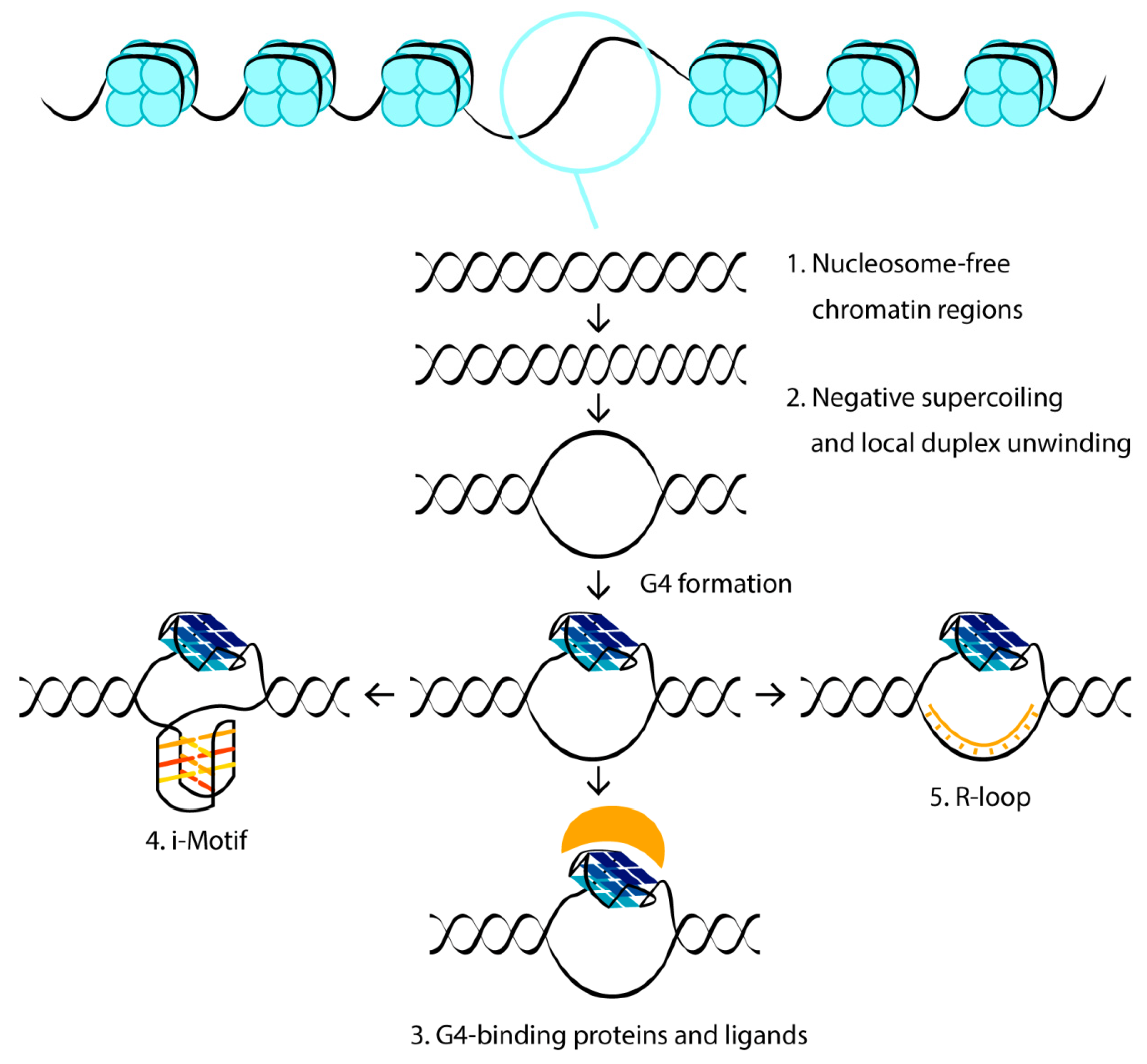 Biomolecules 11 01284 g001 Biomolecules 11 01284 g001