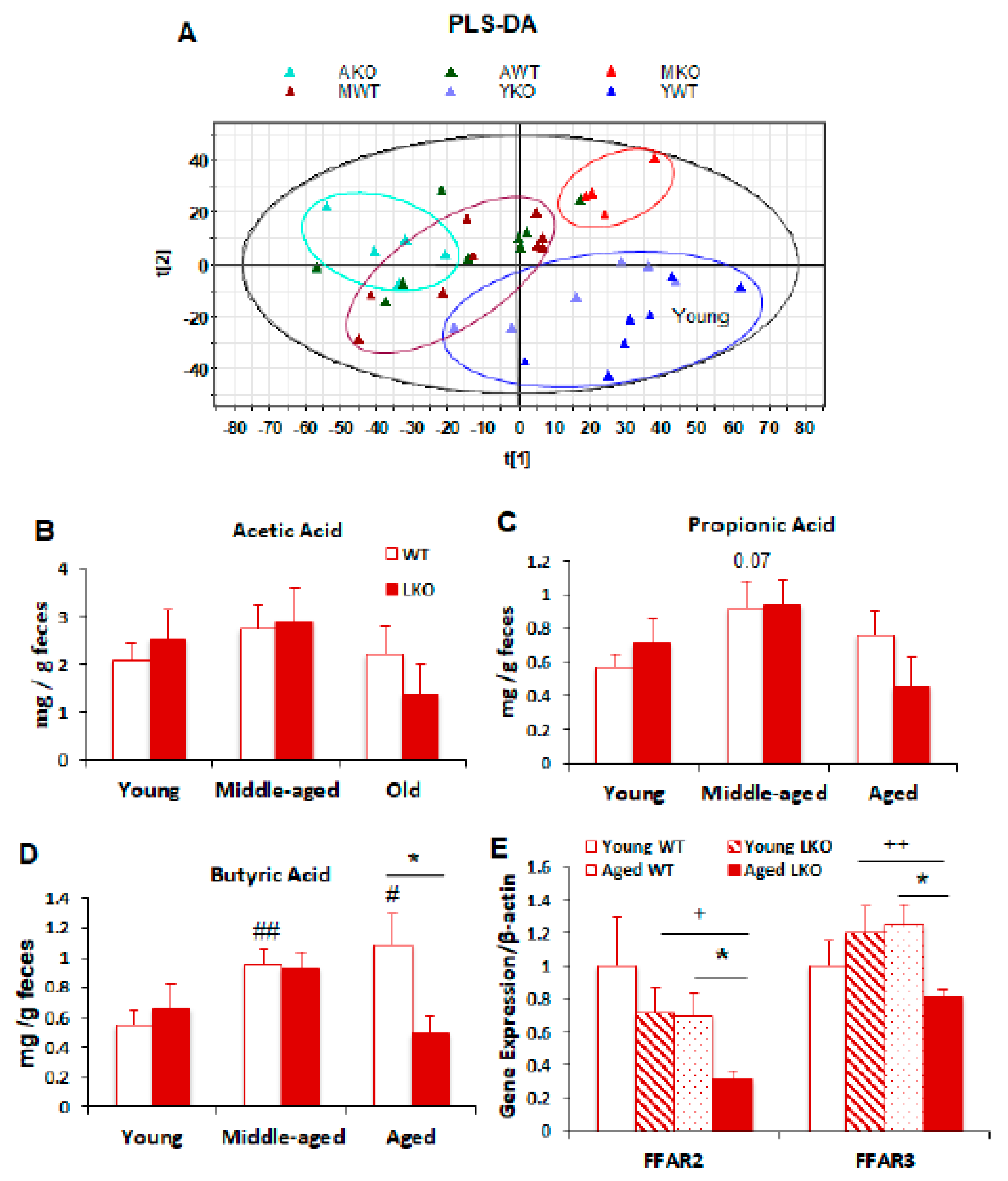 Biomolecules 11 01286 g005
