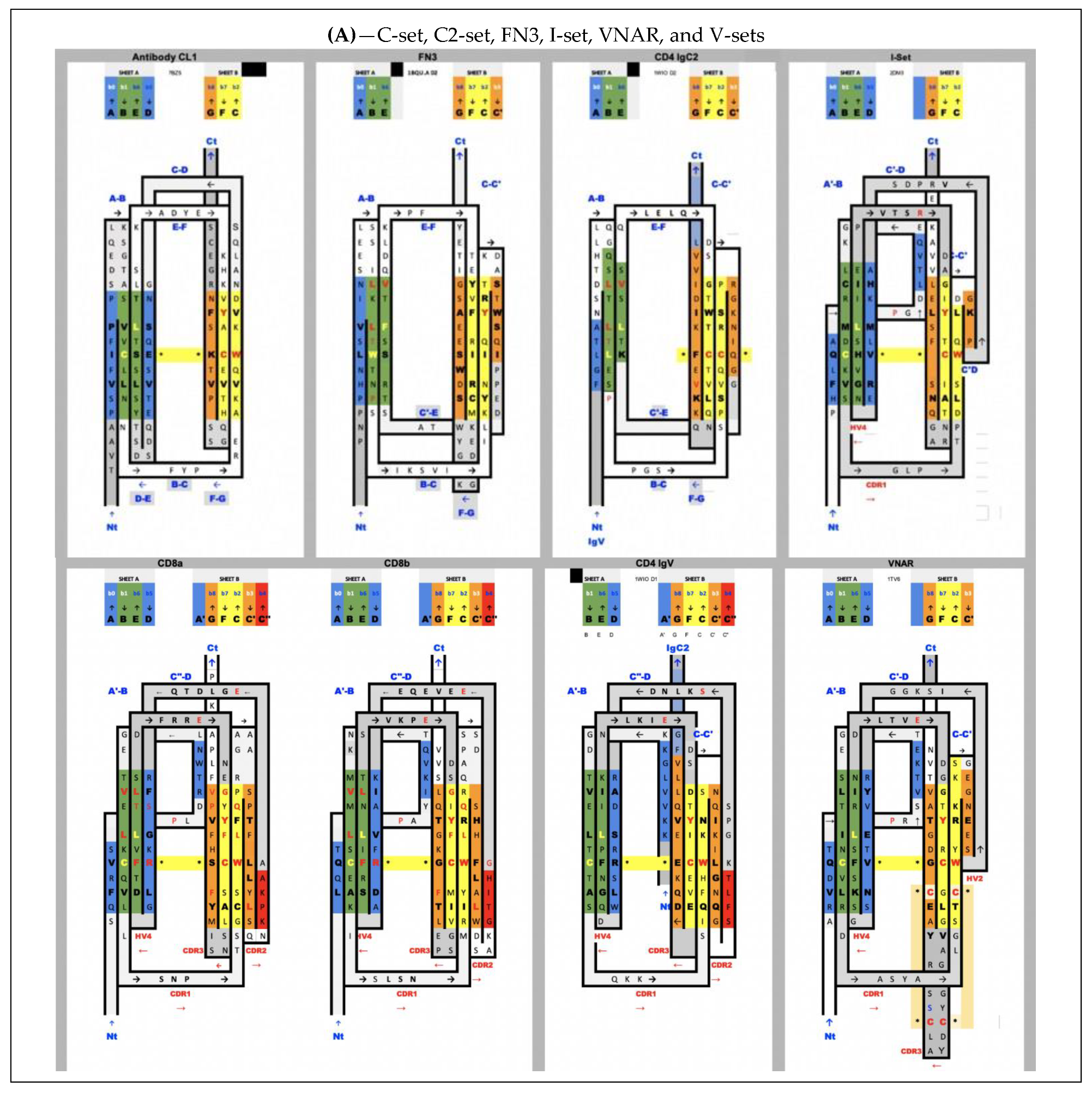 biomolecules free full text topological and structural plasticity of the single ig fold and the double ig fold present in cd19 html