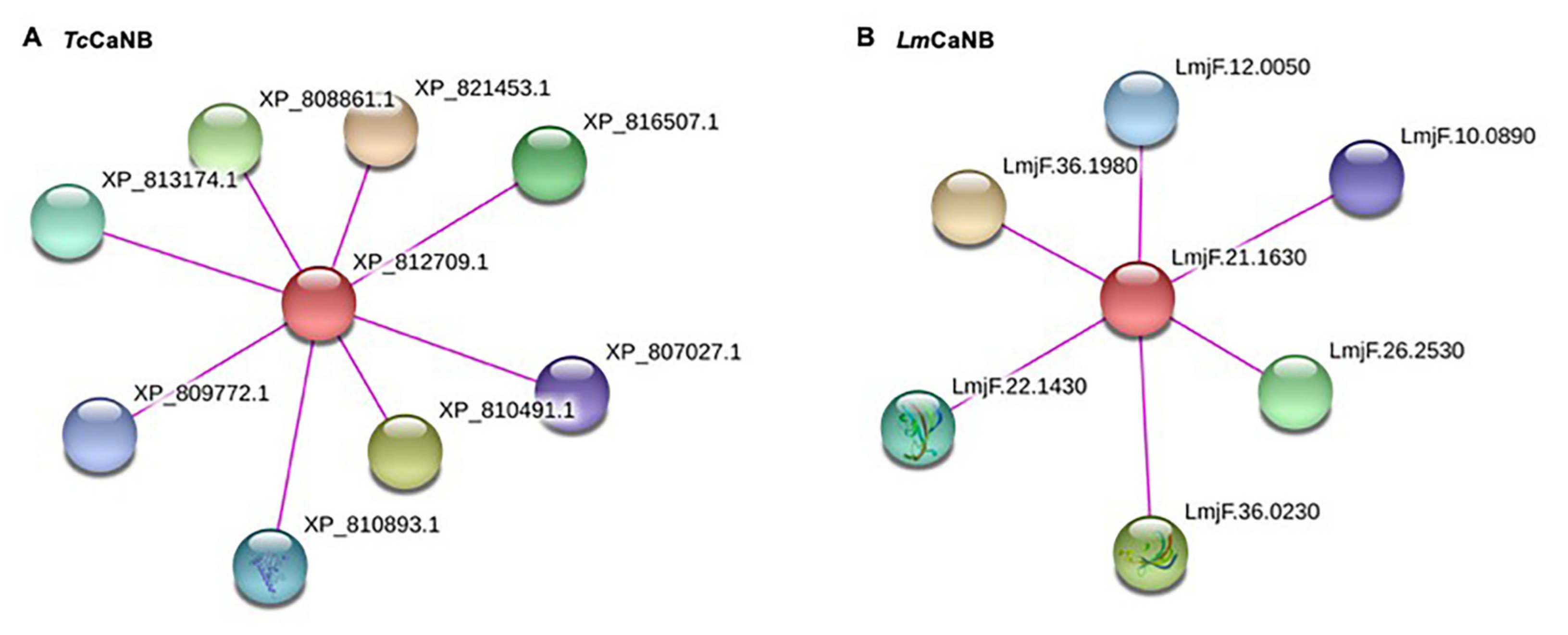 Biomolecules 11 01322 g009 Biomolecules 11 01322 g009