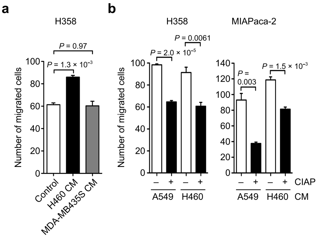 Biomolecules 11 01323 g005 Biomolecules 11 01323 g005