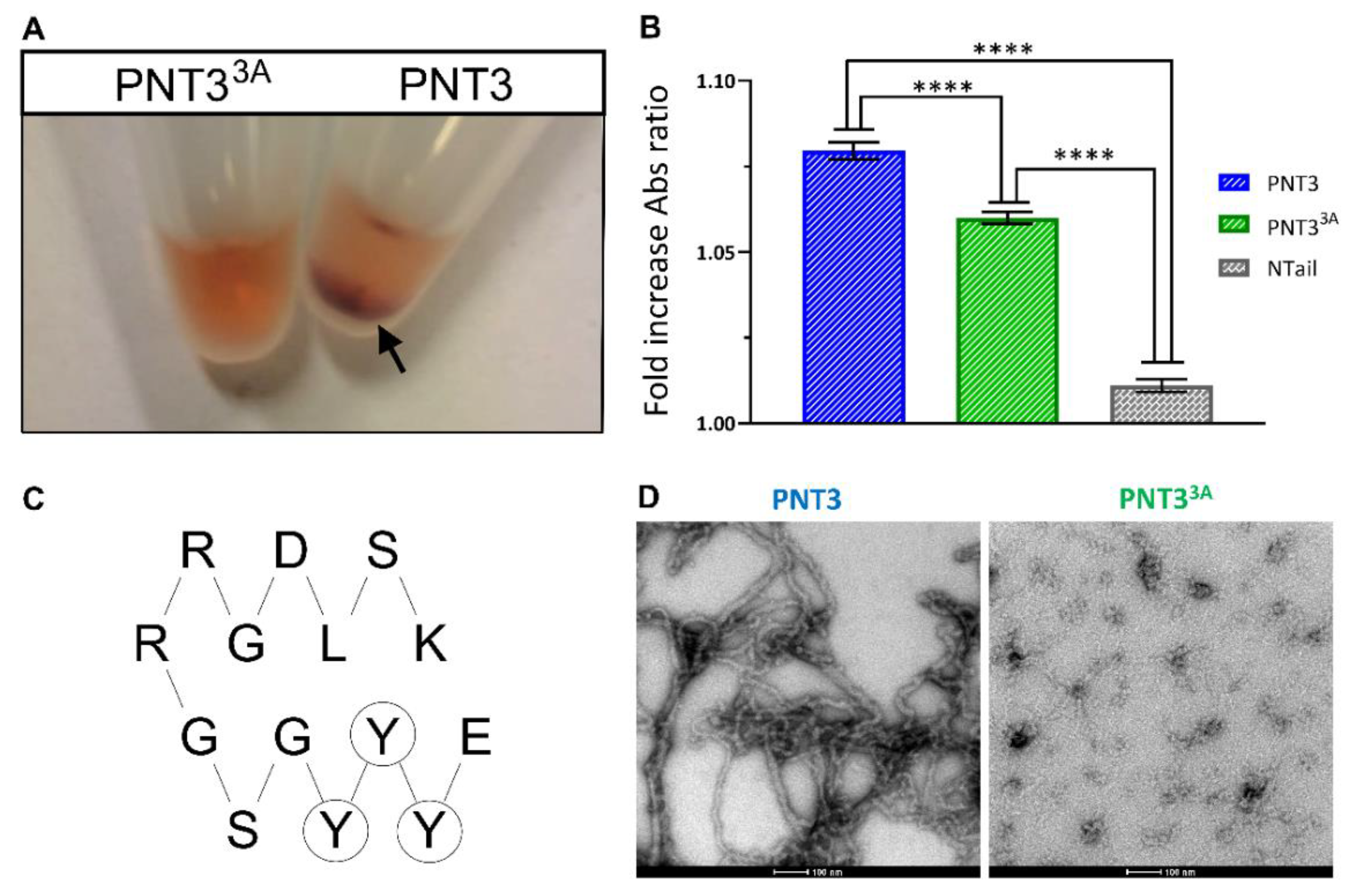 Biomolecules 11 01324 g004 Biomolecules 11 01324 g004