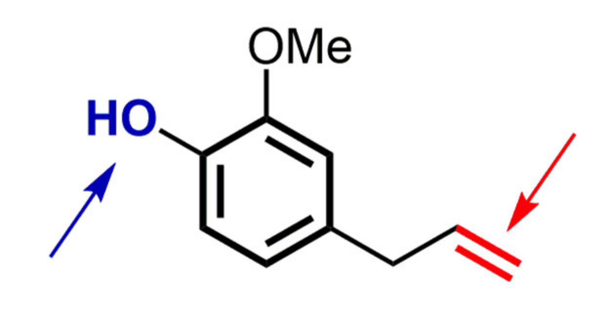 Biomolecules 11 01325 g002 Biomolecules 11 01325 g002