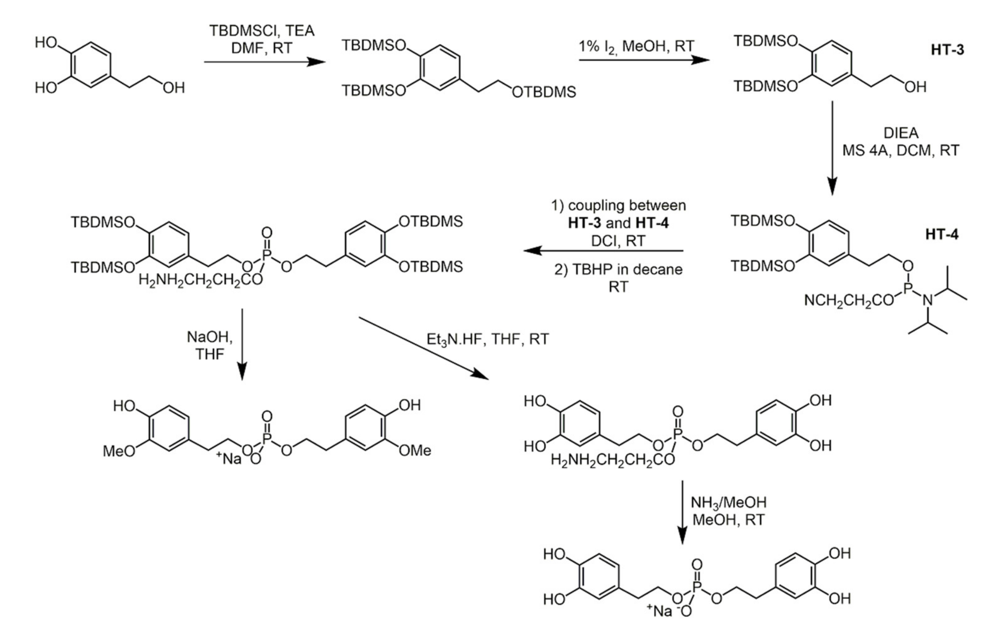 Biomolecules 11 01325 sch023 Biomolecules 11 01325 sch023