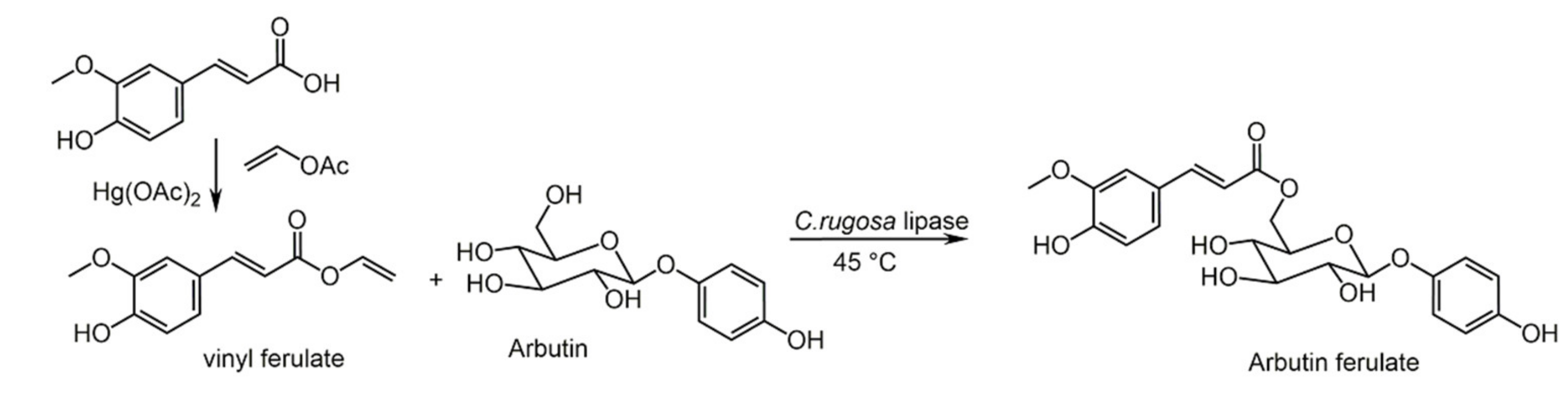 Biomolecules 11 01325 sch028 Biomolecules 11 01325 sch028