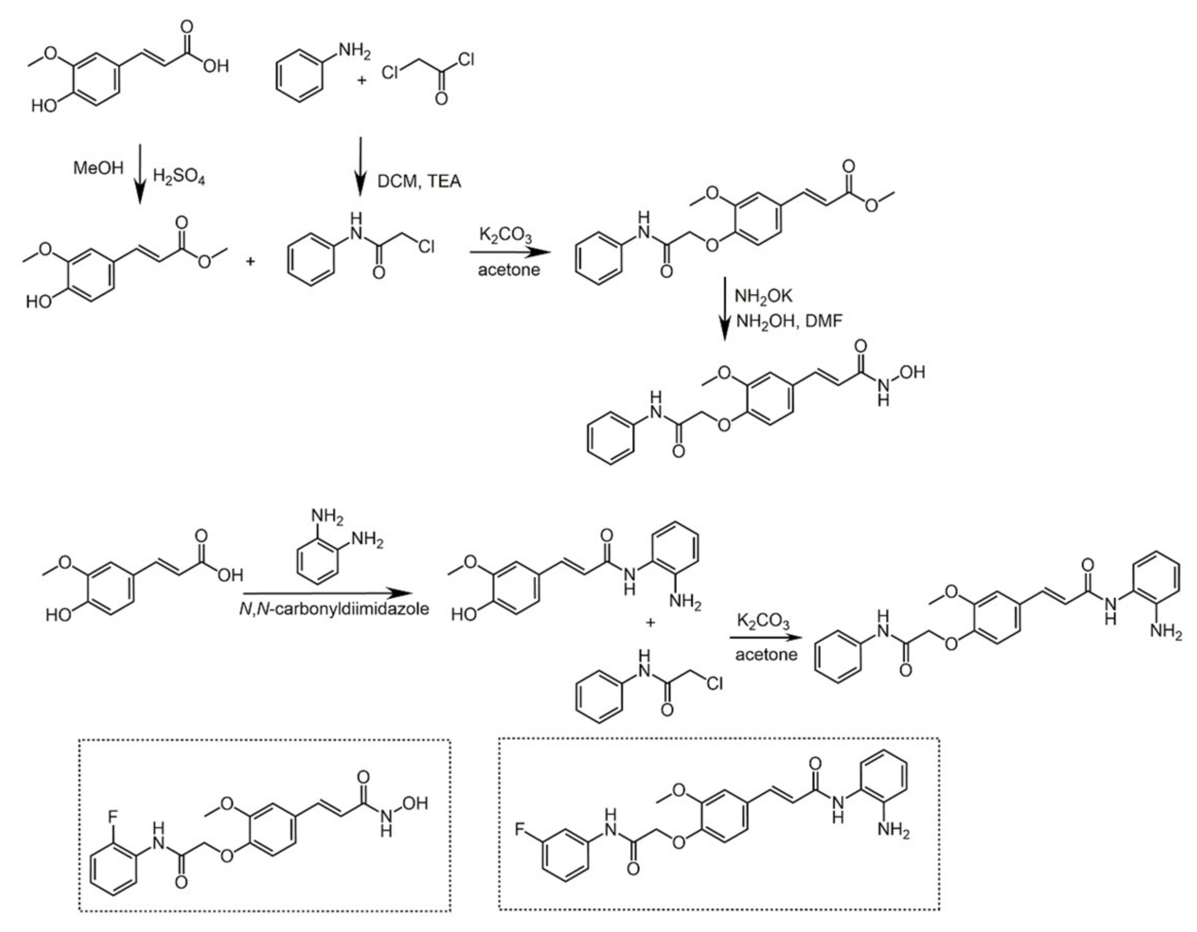 Biomolecules 11 01325 sch032 Biomolecules 11 01325 sch032