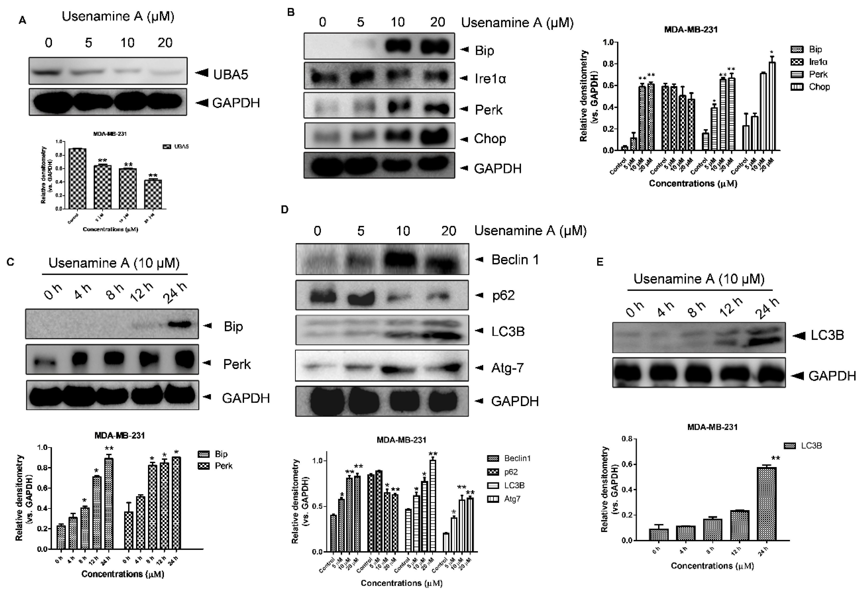 Biomolecules 11 01348 g005 Biomolecules 11 01348 g005