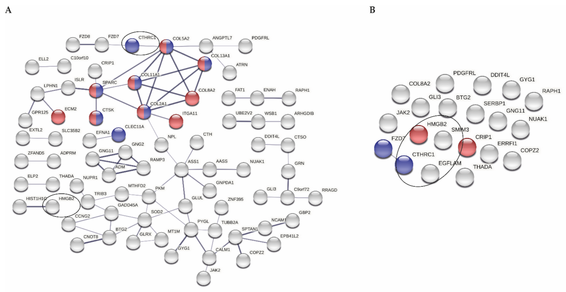 Biomolecules 11 01356 g002