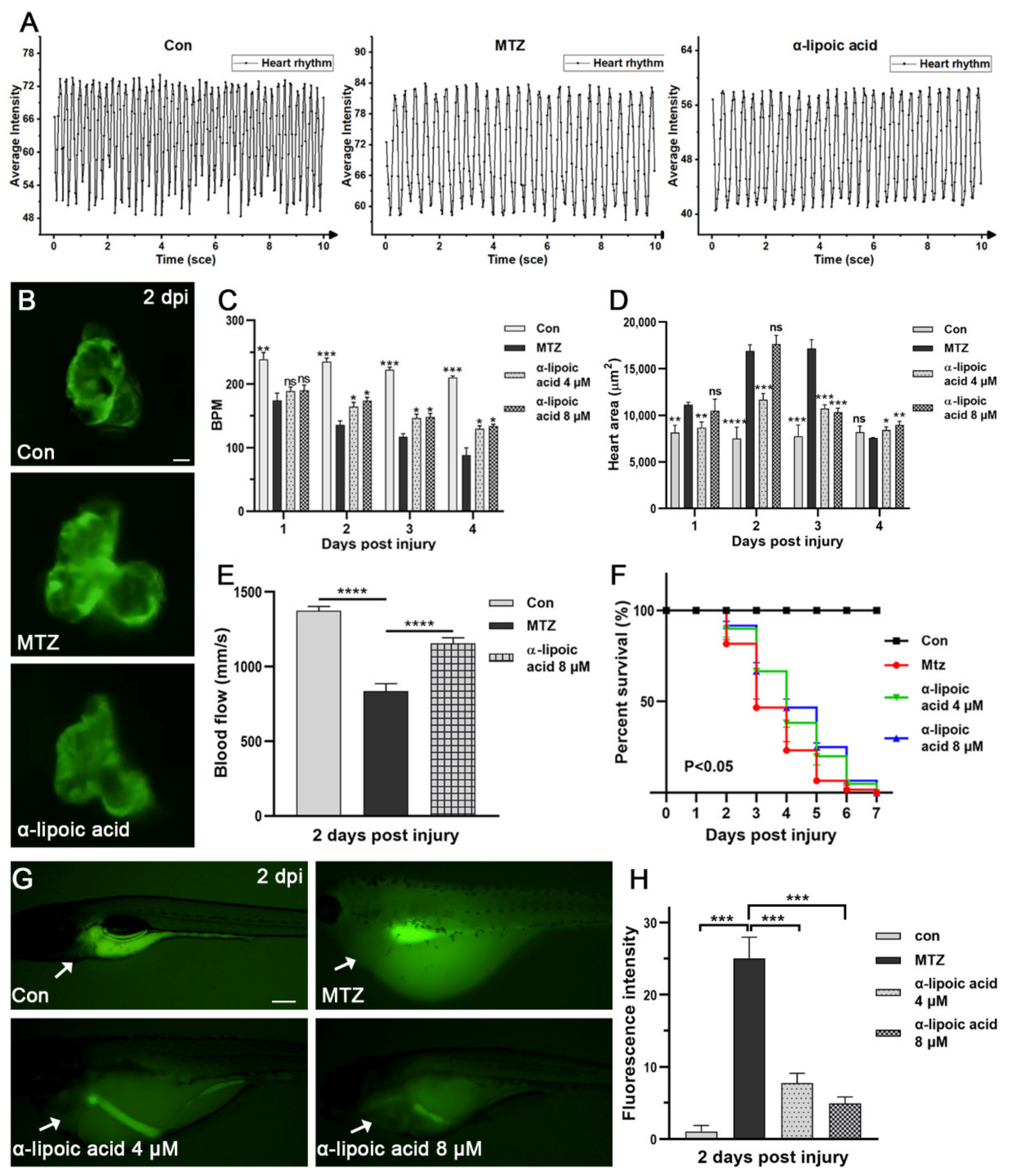 Biomolecules 11 01370 g007 Biomolecules 11 01370 g007