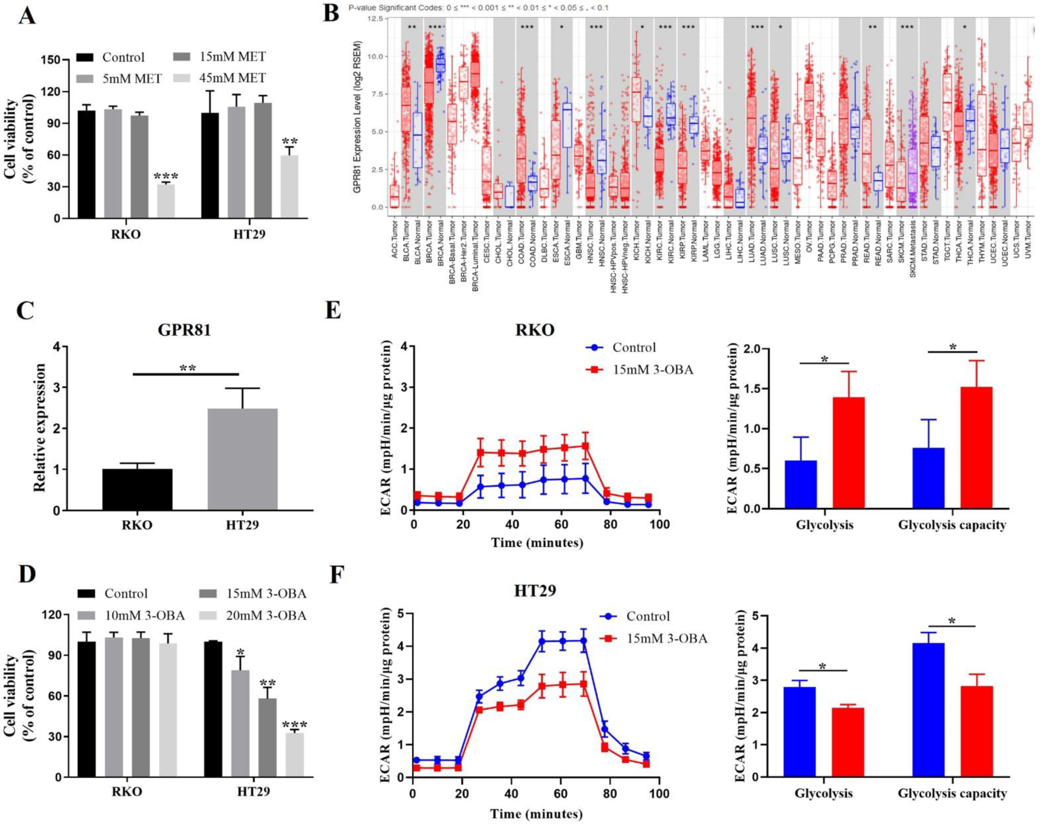 Metformin Dove Acquistare