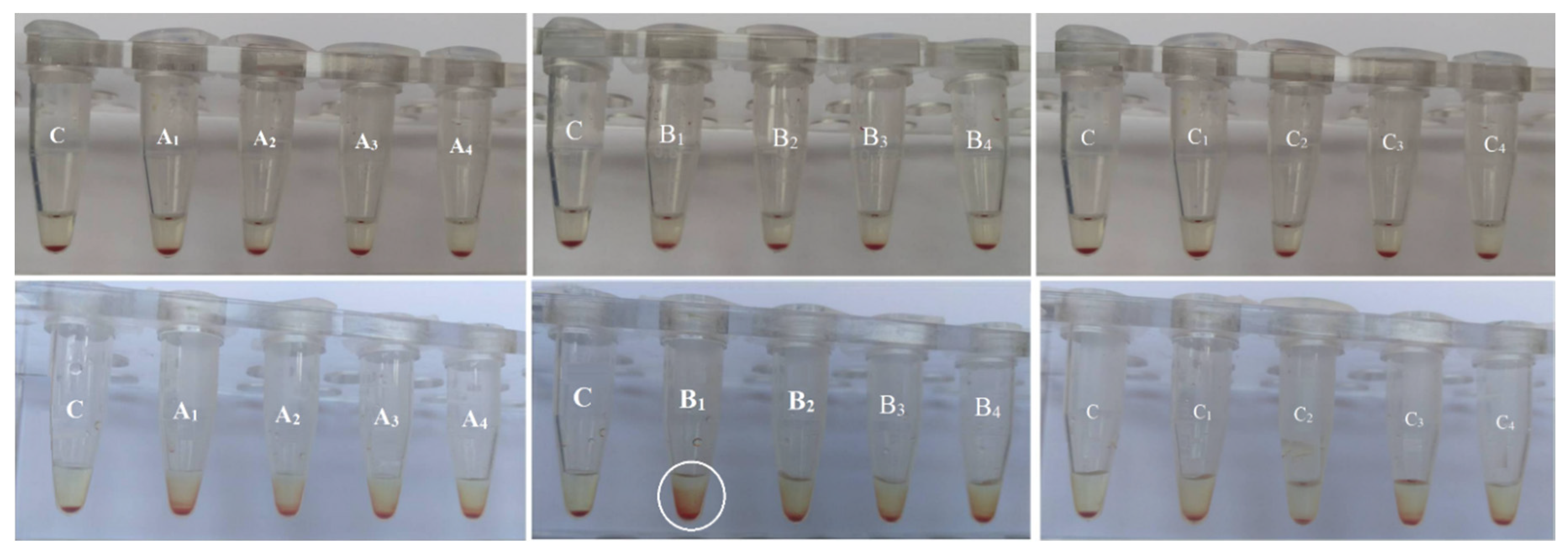 Biomolecules 11 01388 g013