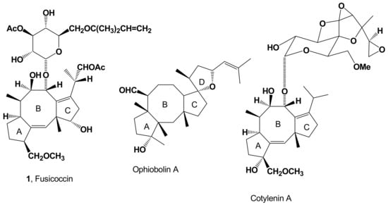 Biomolecules Free Full Text The Surprising Story Of Fusicoccin A Wilt Inducing Phytotoxin A Tool In Plant Physiology And A 14 3 3 Targeted Drug Html