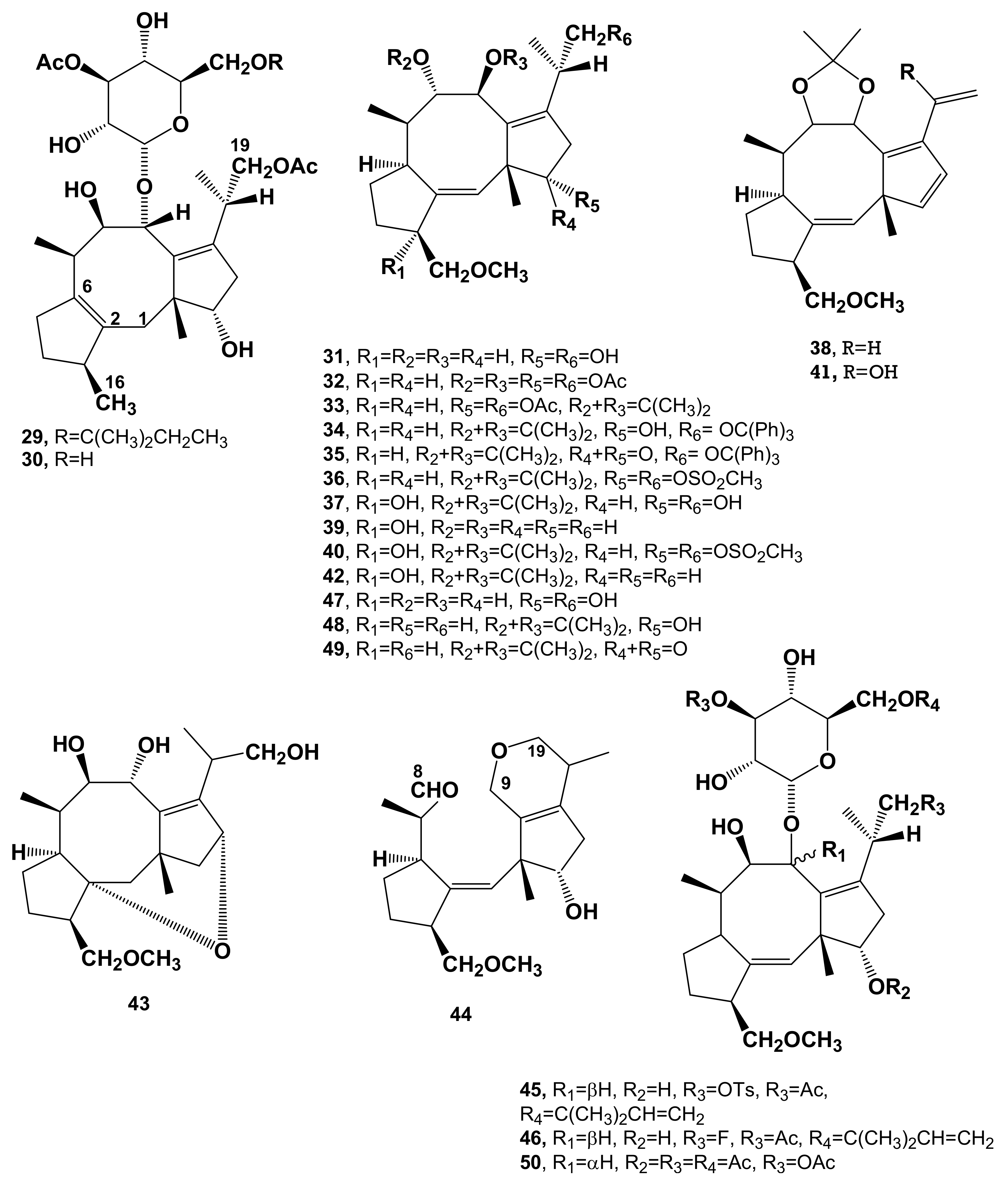 Biomolecules 11 01393 g003 Biomolecules 11 01393 g003