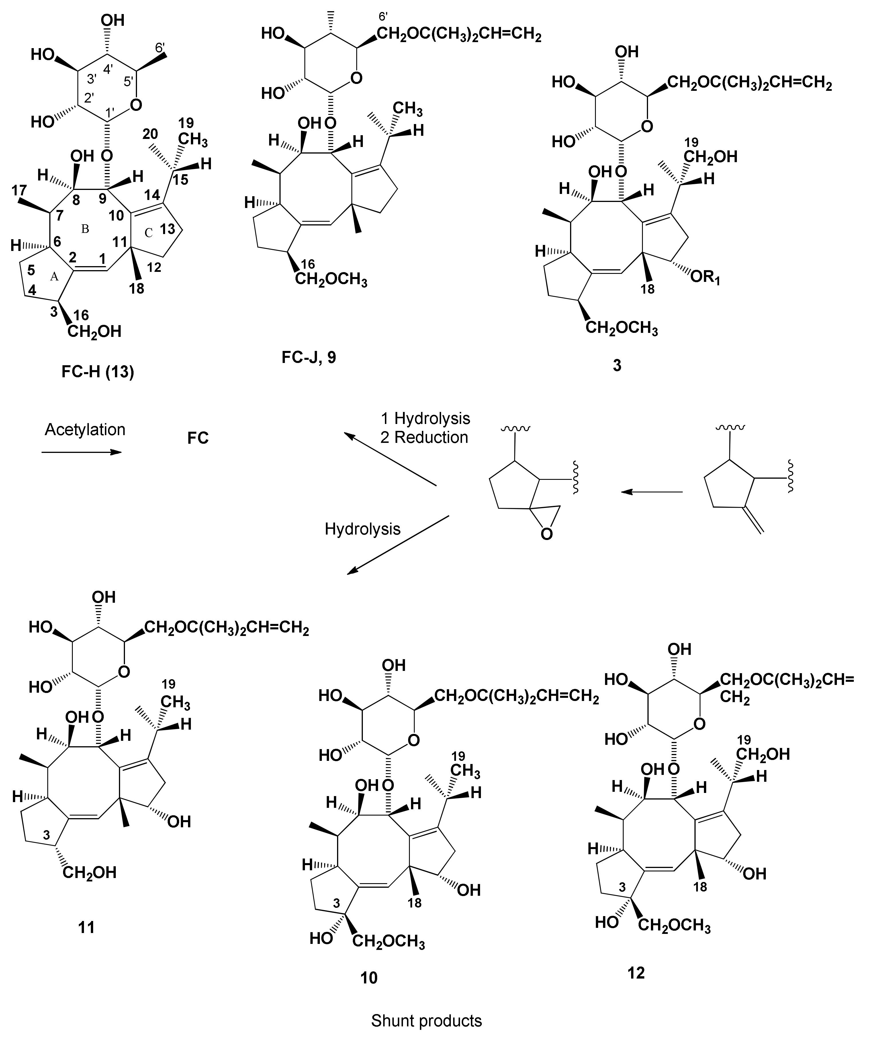 Biomolecules 11 01393 g006 Biomolecules 11 01393 g006