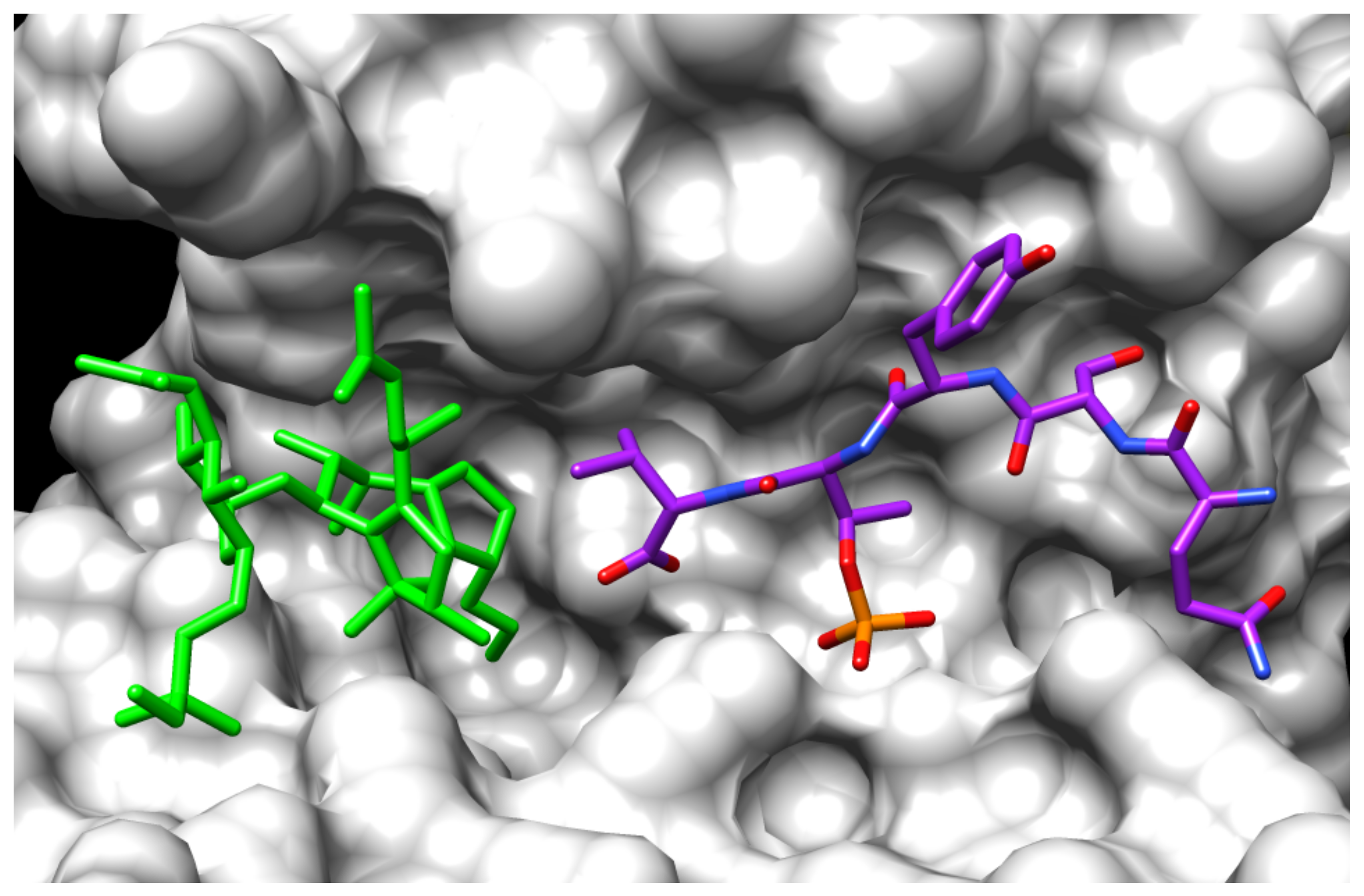 Biomolecules 11 01393 g010 Biomolecules 11 01393 g010