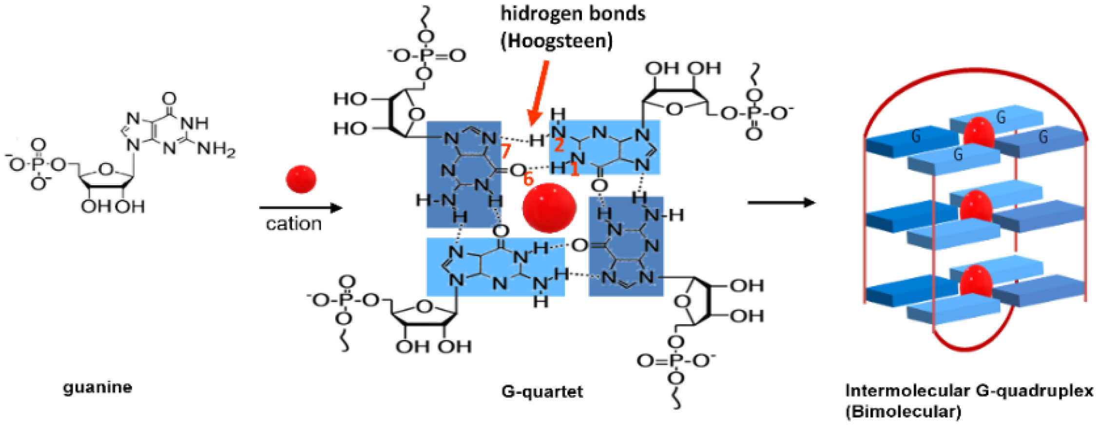 Biomolecules 11 01404 g002 Biomolecules 11 01404 g002