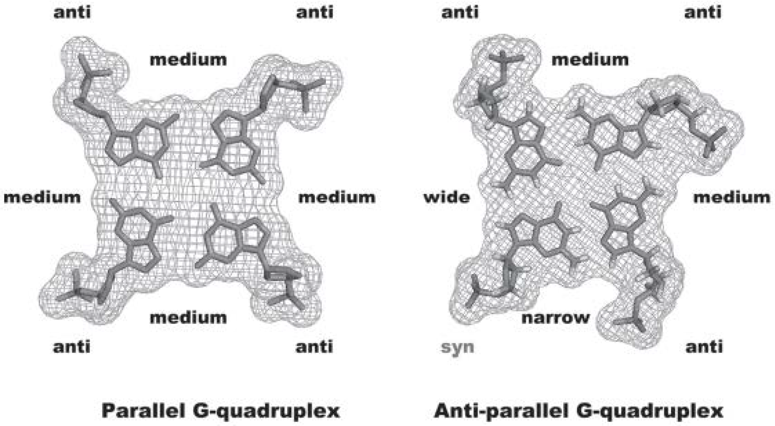 Biomolecules 11 01404 g005 Biomolecules 11 01404 g005