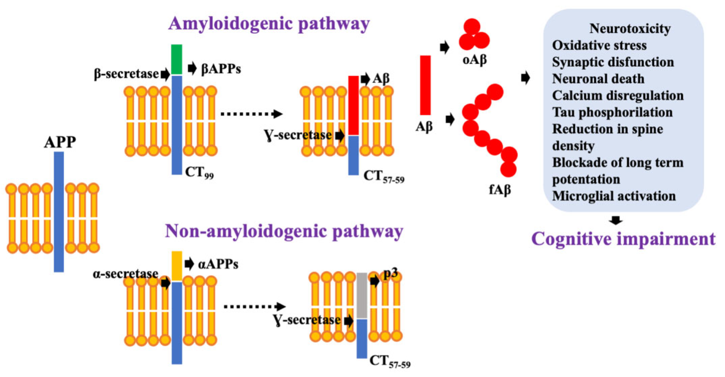 Biomolecules 11 01408 g001