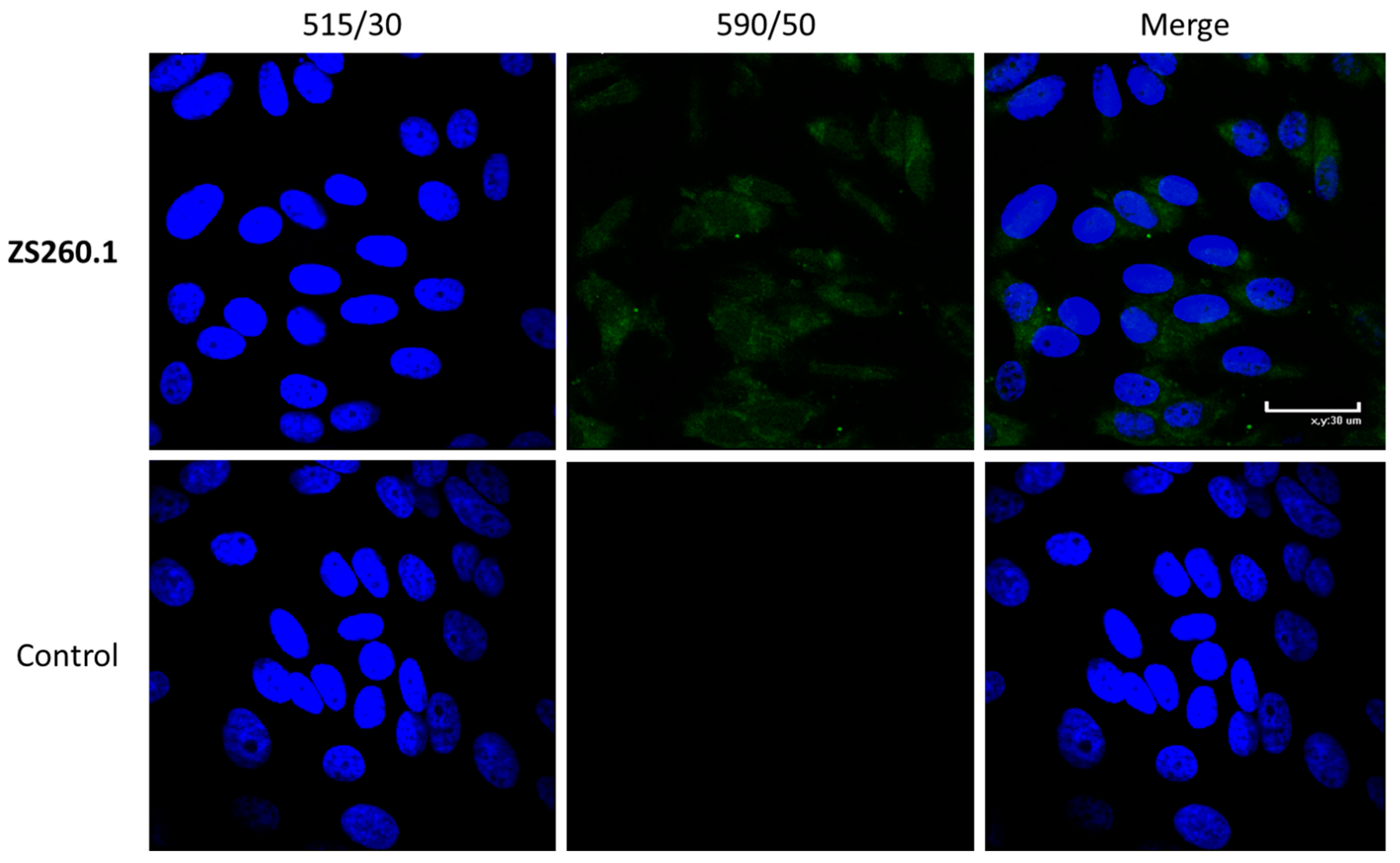 Biomolecules 11 01409 g008