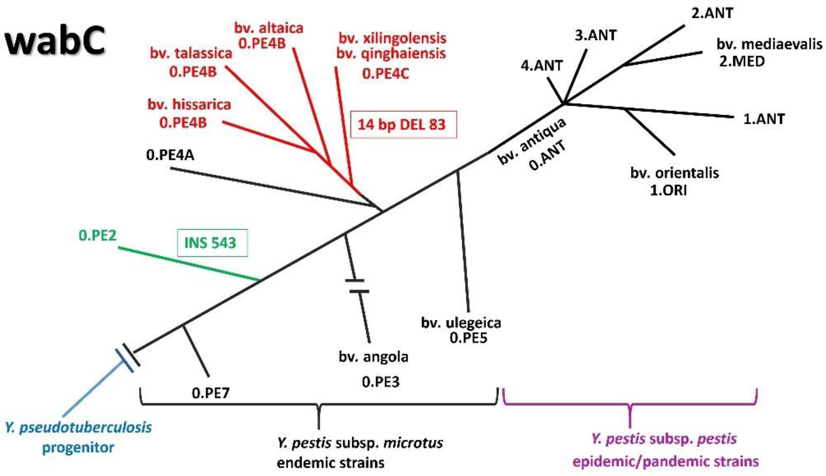 Biomolecules 11 01410 g002 Biomolecules 11 01410 g002