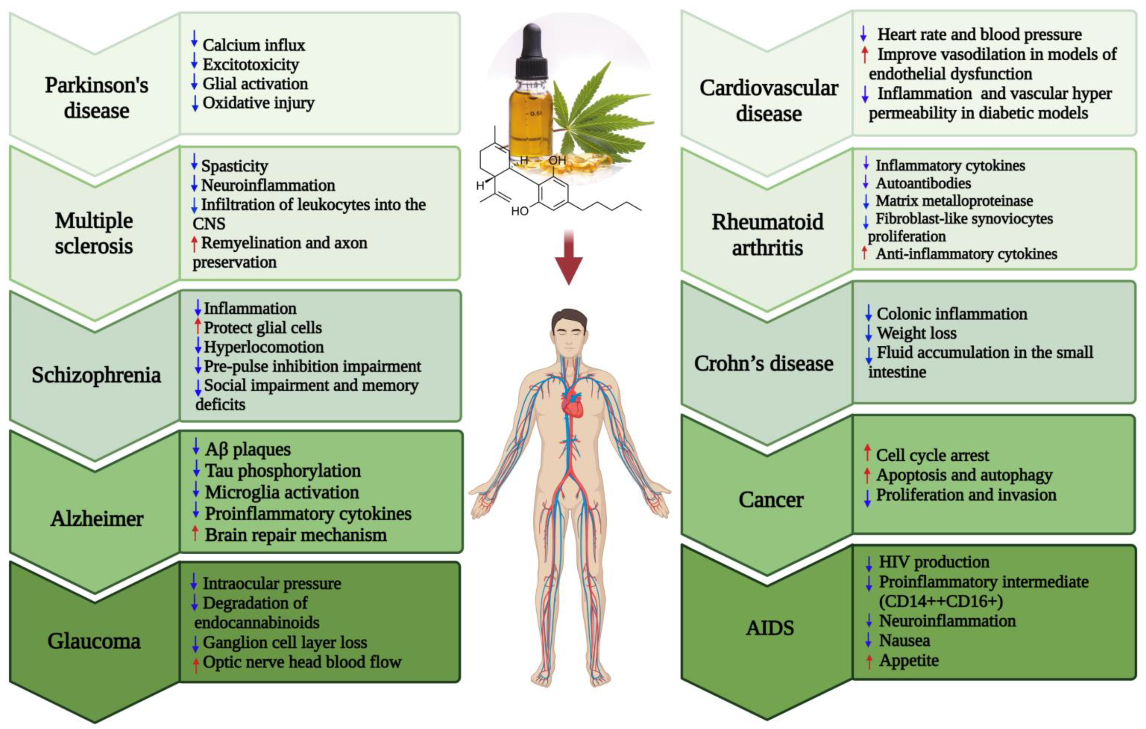 The endocannabinoid system: Essential and mysterious - Harvard Health