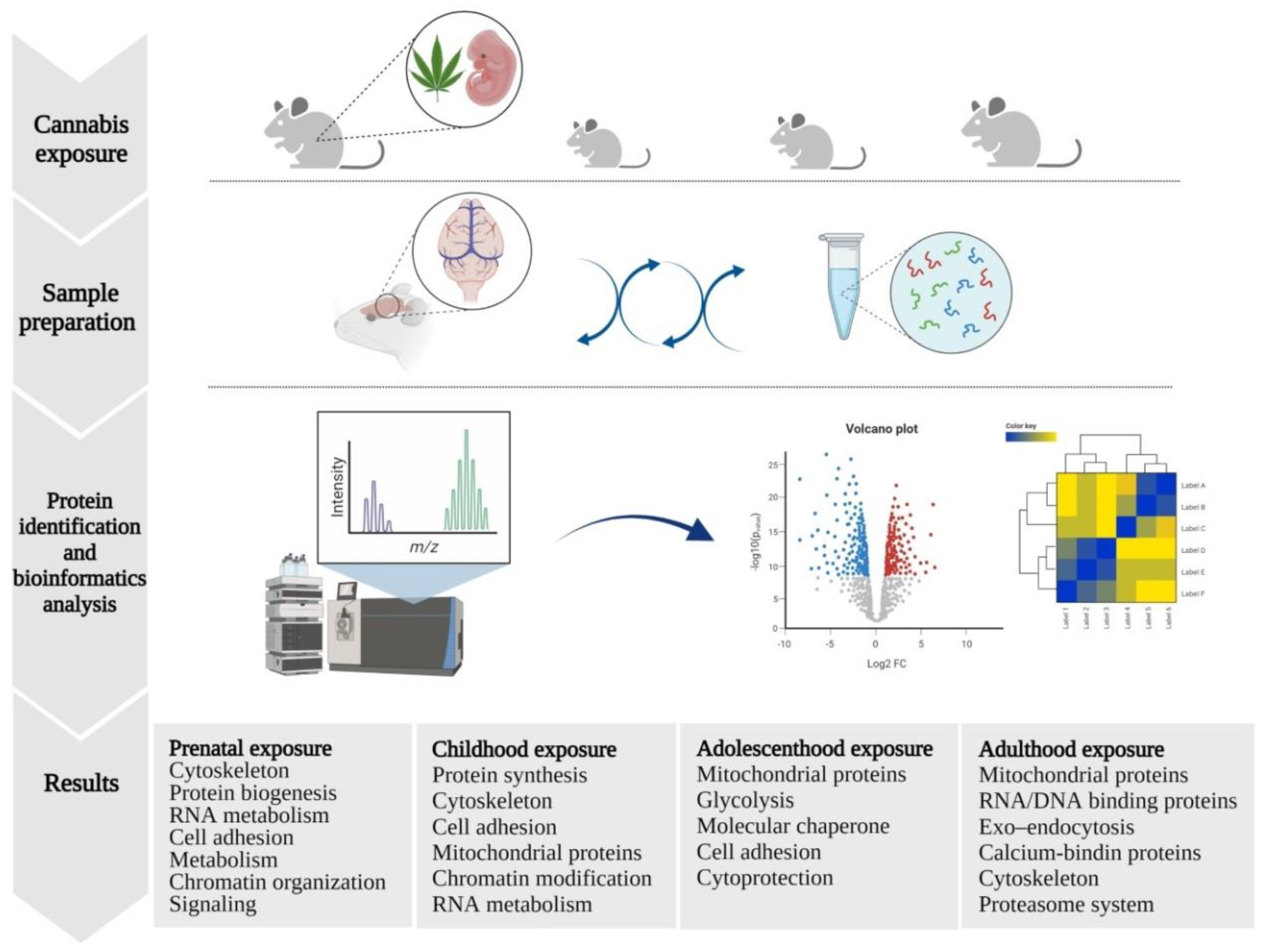 Biomolecules 11 01411 g003 Biomolecules 11 01411 g003