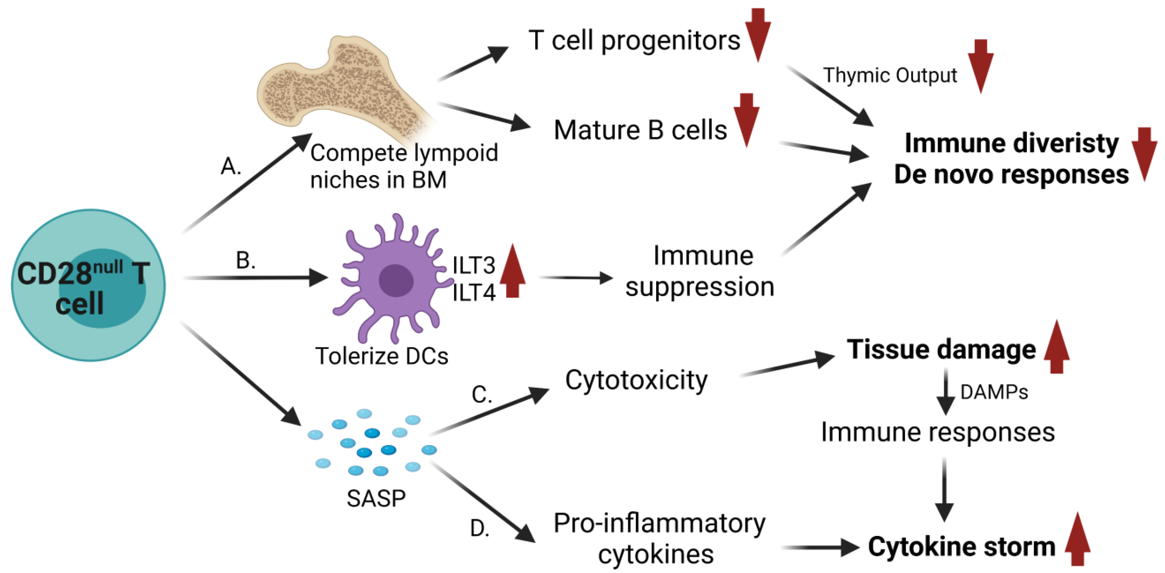 Biomolecules 11 01425 g002 Biomolecules 11 01425 g002