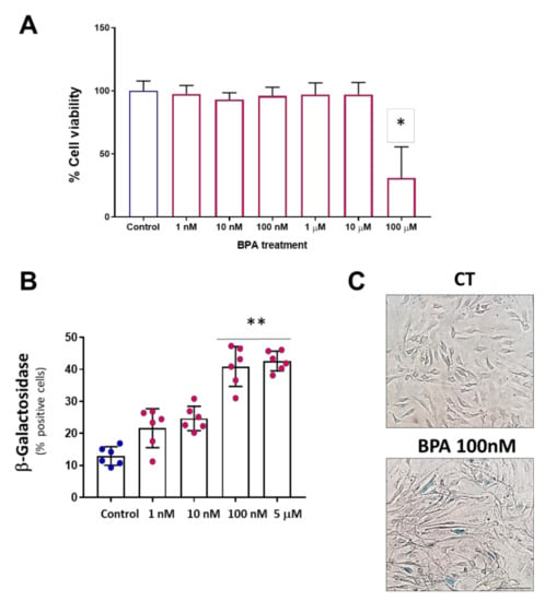 Biomolecules | Free Full-Text | Bisphenol A Induces Accelerated