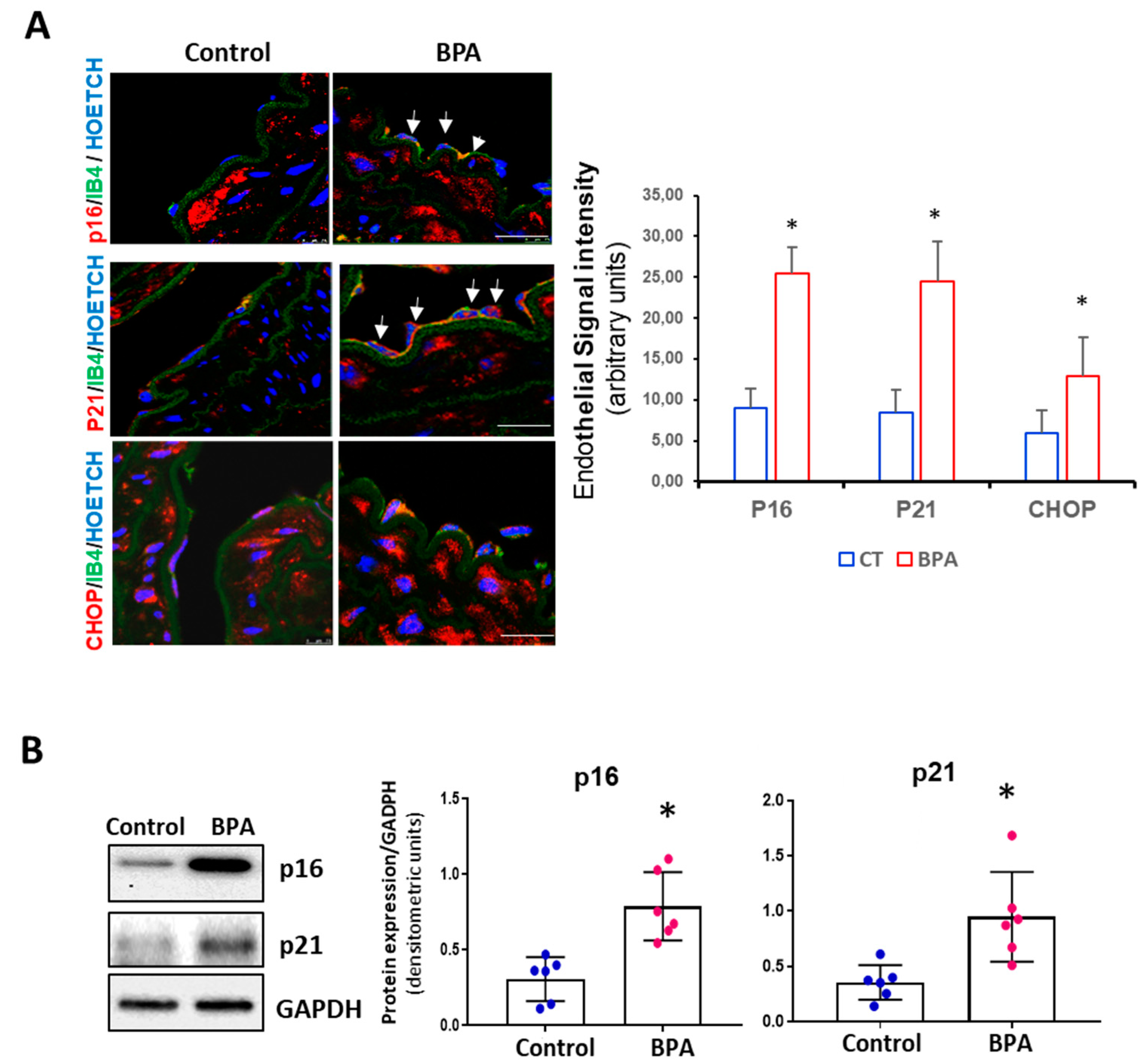 Biomolecules 11 01429 g004