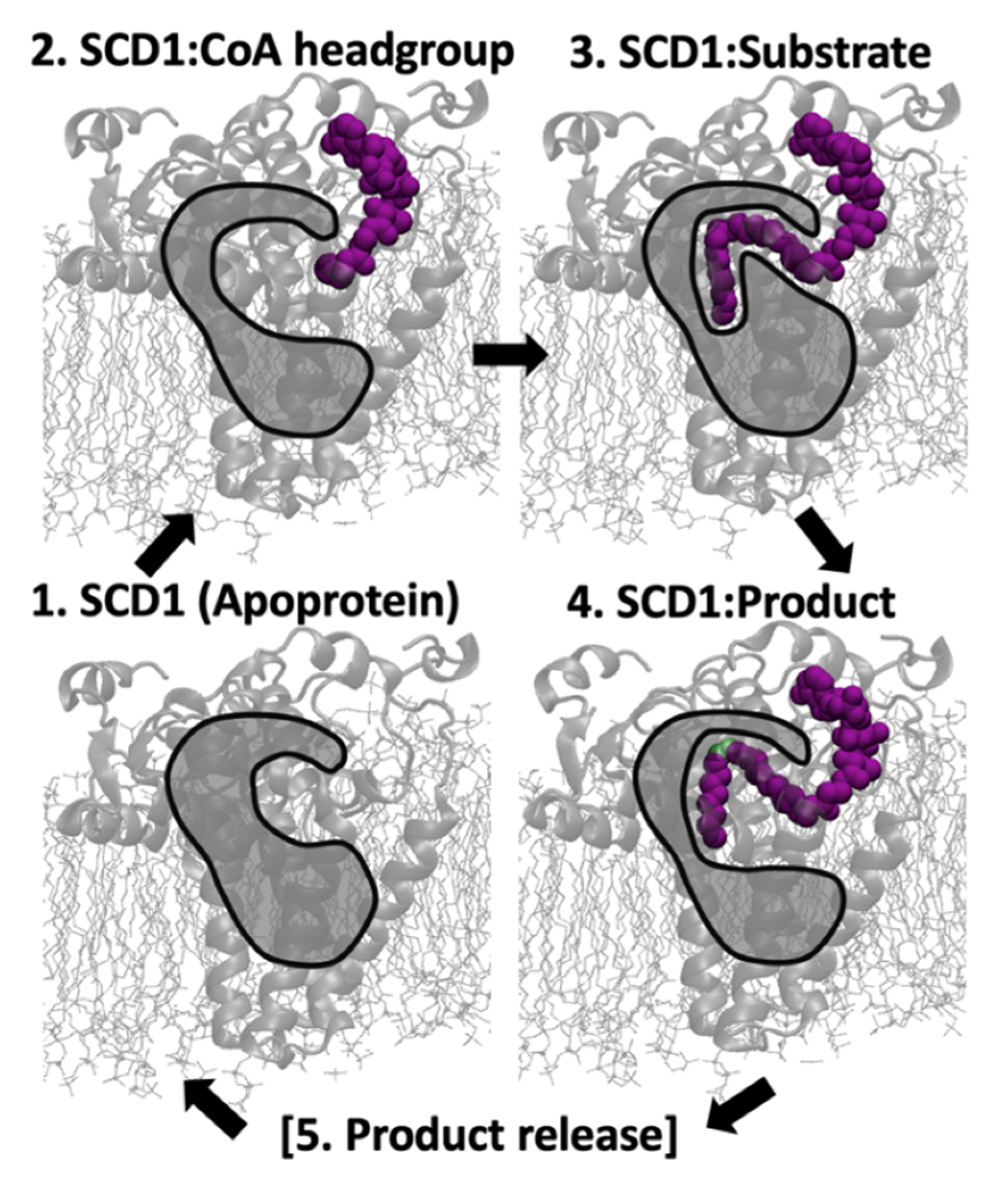 Biomolecules 11 01435 sch001