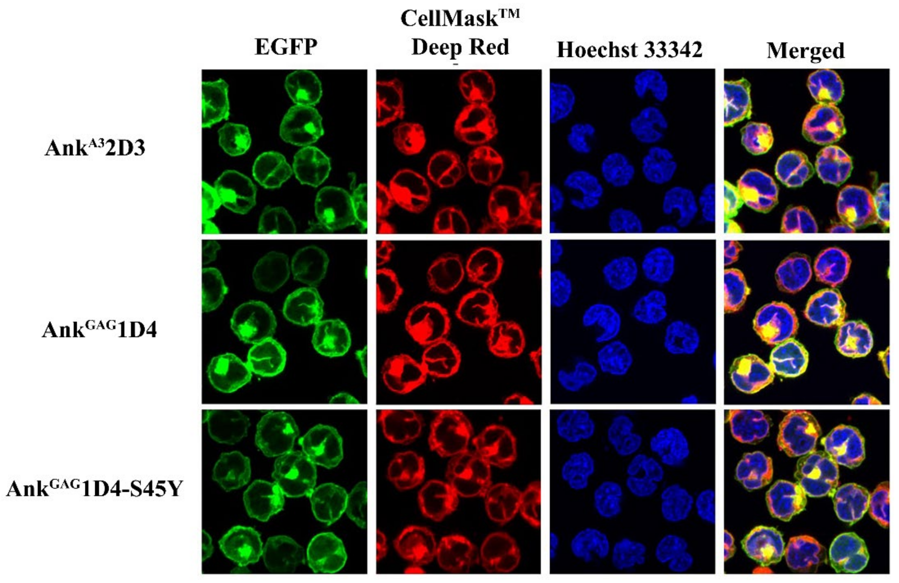 Biomolecules 11 01437 g002 Biomolecules 11 01437 g002
