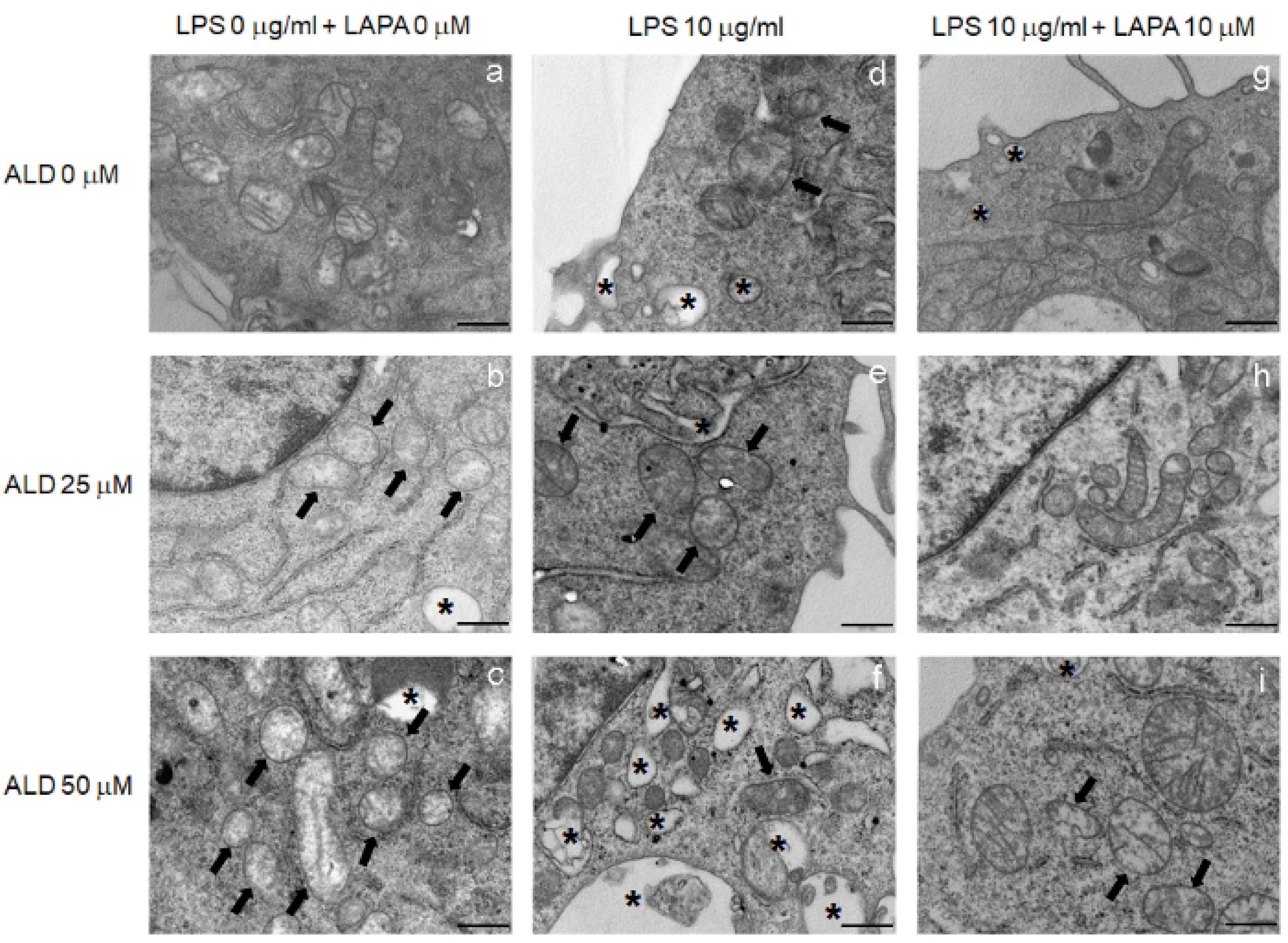 Biomolecules 11 01438 g006