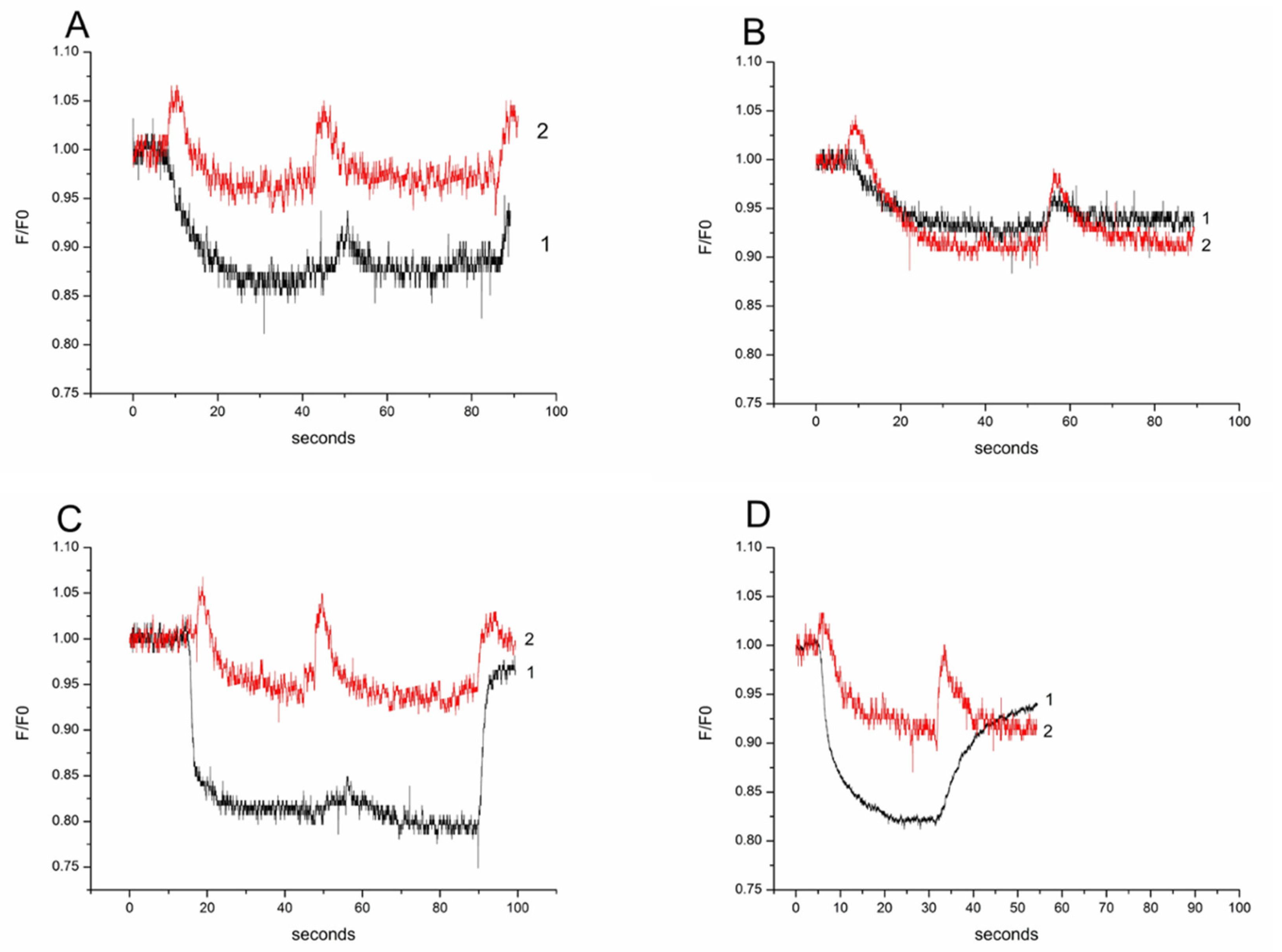 Biomolecules 11 01452 g004 Biomolecules 11 01452 g004