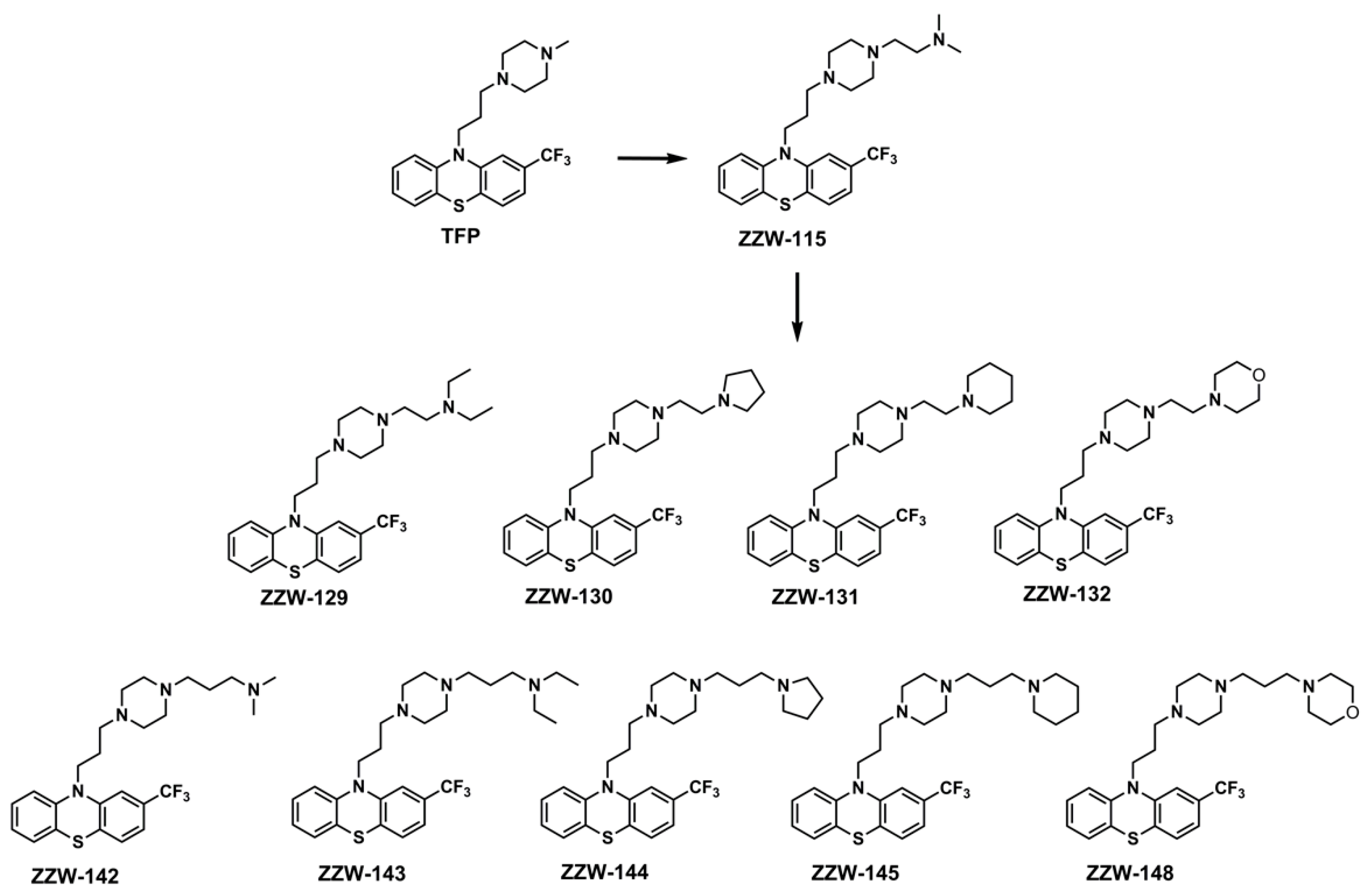 Biomolecules 11 01453 g001