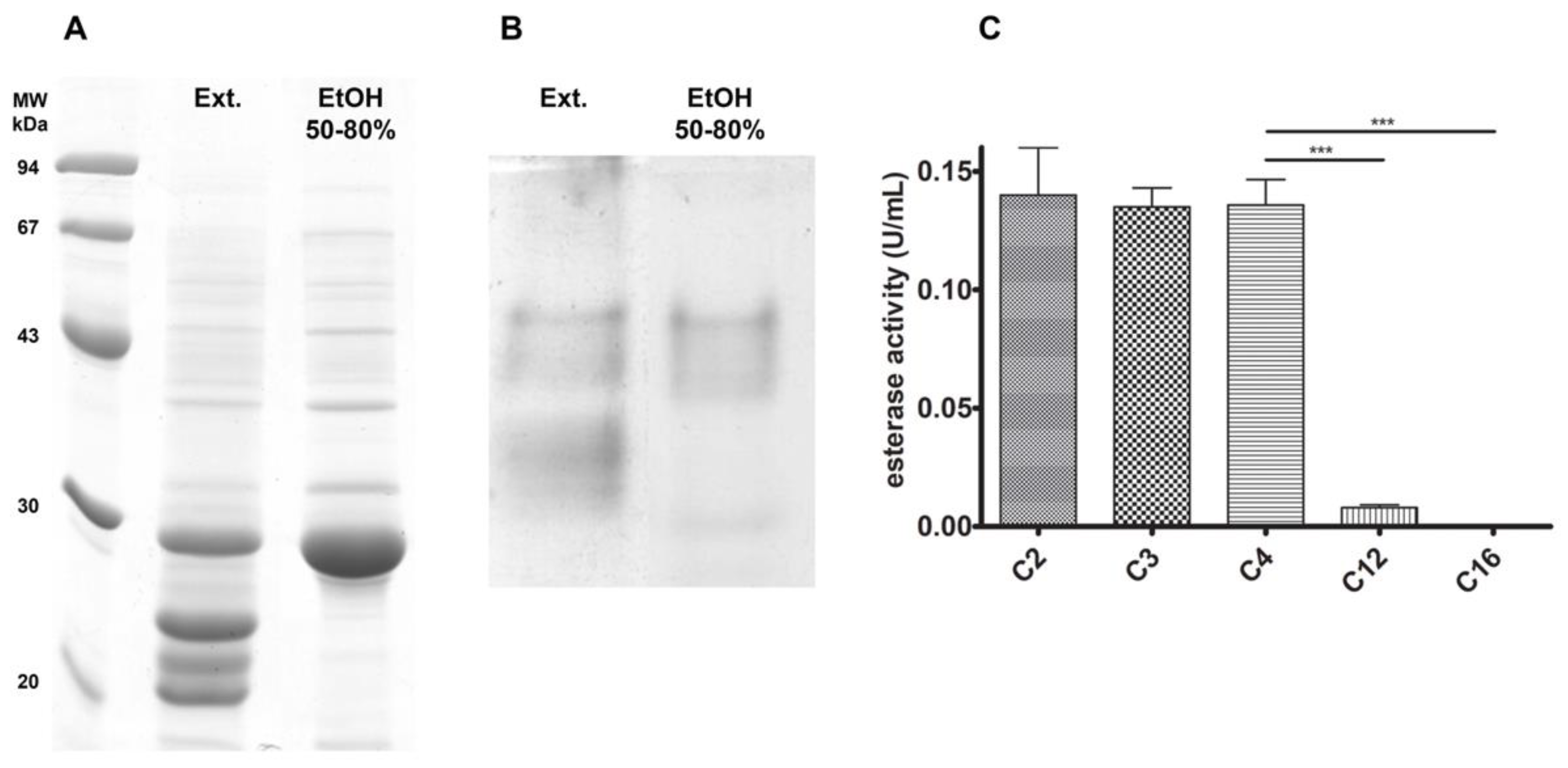 Biomolecules 11 01486 g001 Biomolecules 11 01486 g001