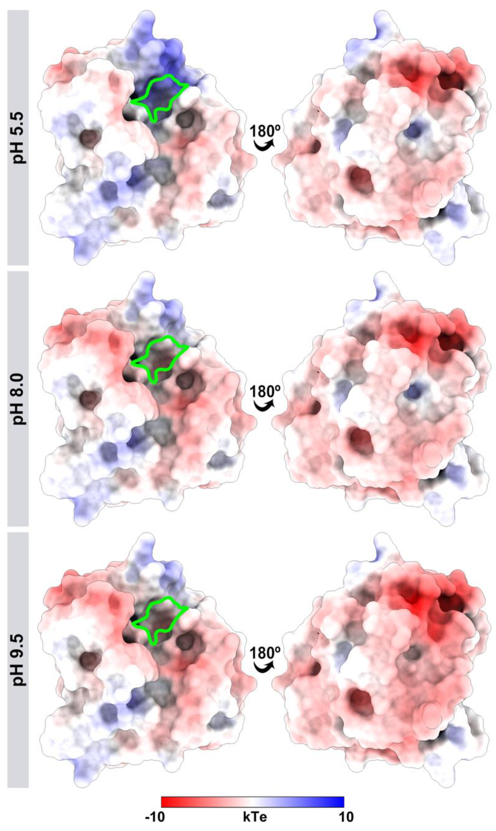 Biomolecules 11 01486 g009 Biomolecules 11 01486 g009