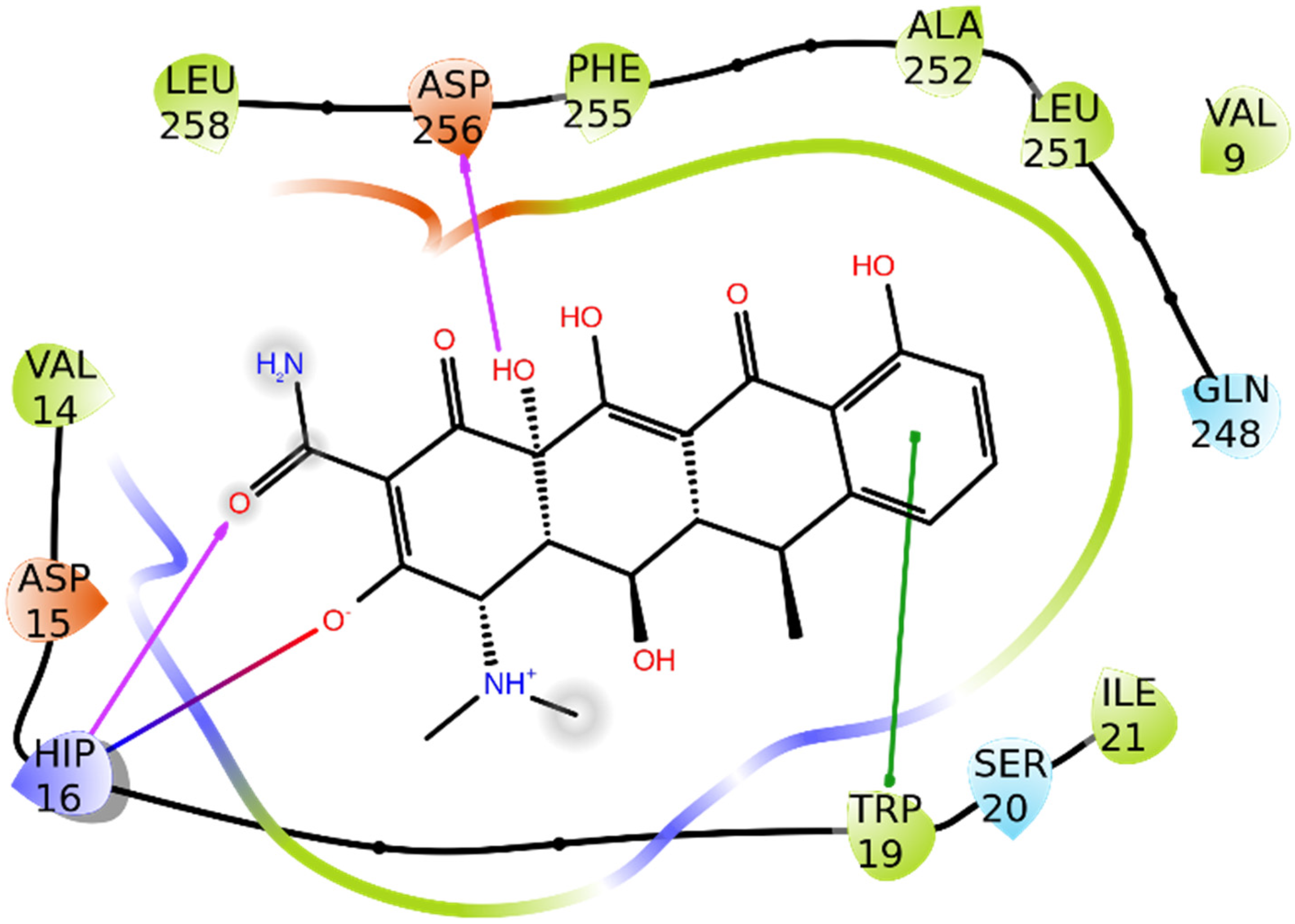 Biomolecules 11 01490 g002