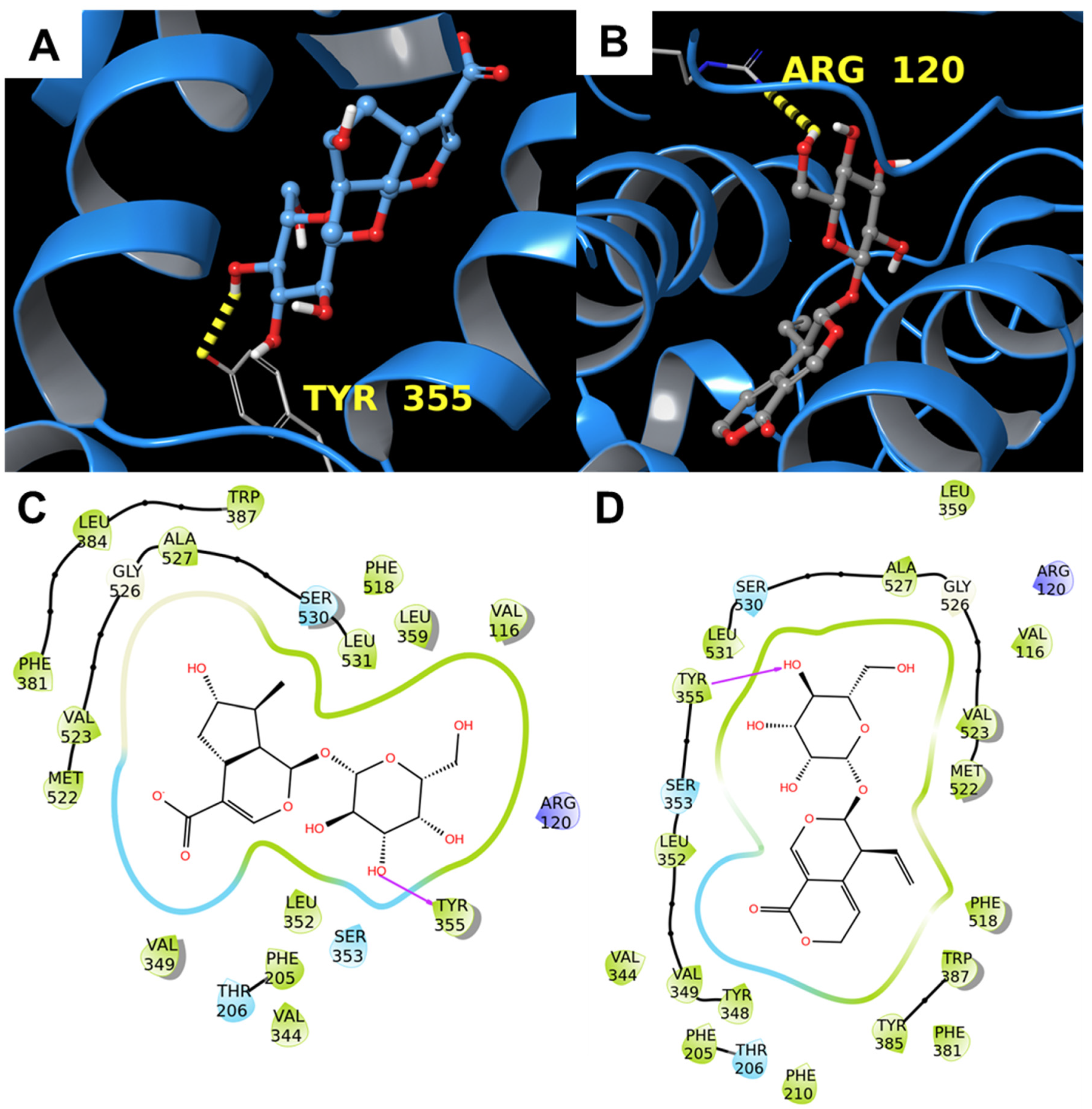 Biomolecules 11 01490 g005