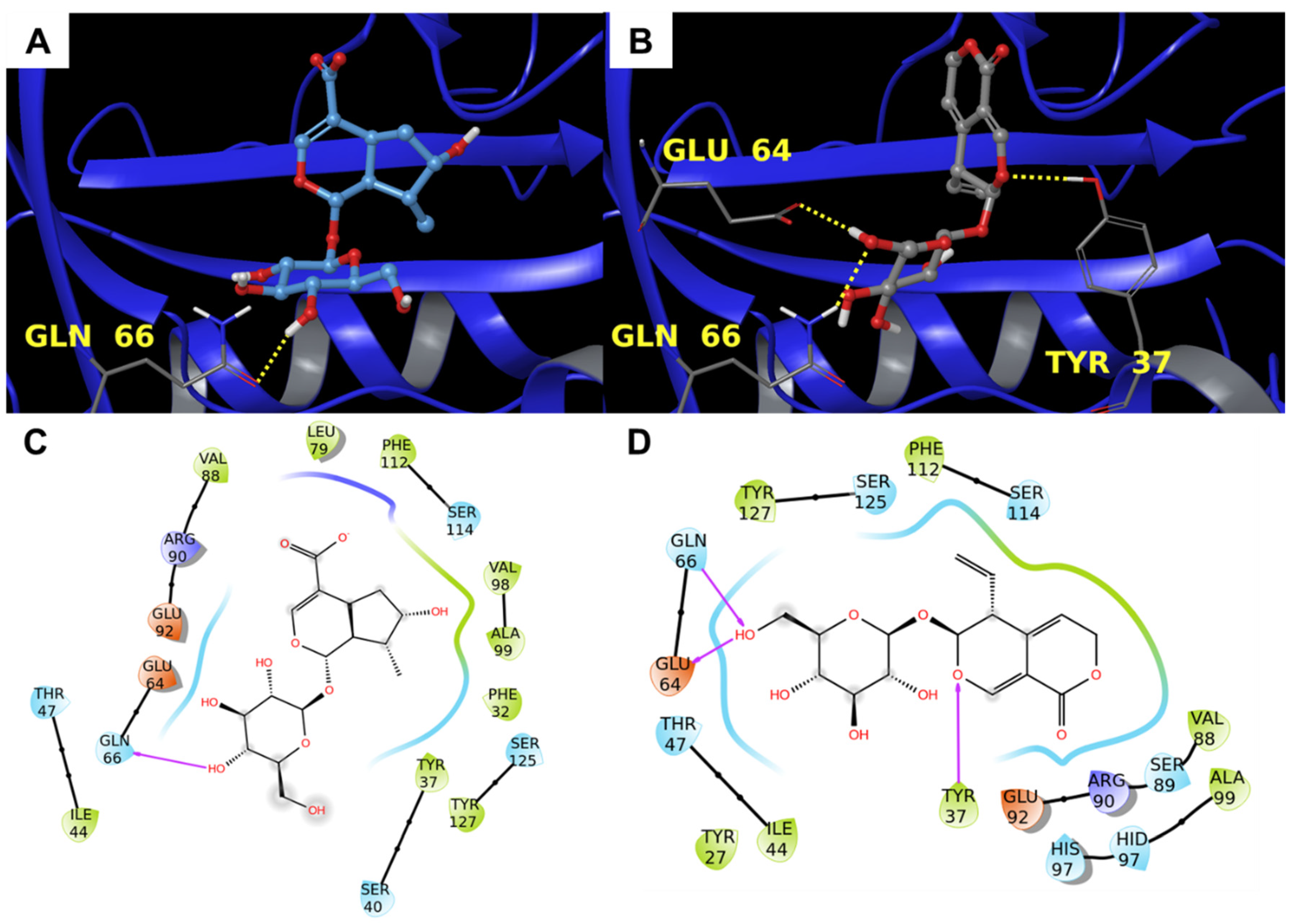 Biomolecules 11 01490 g007