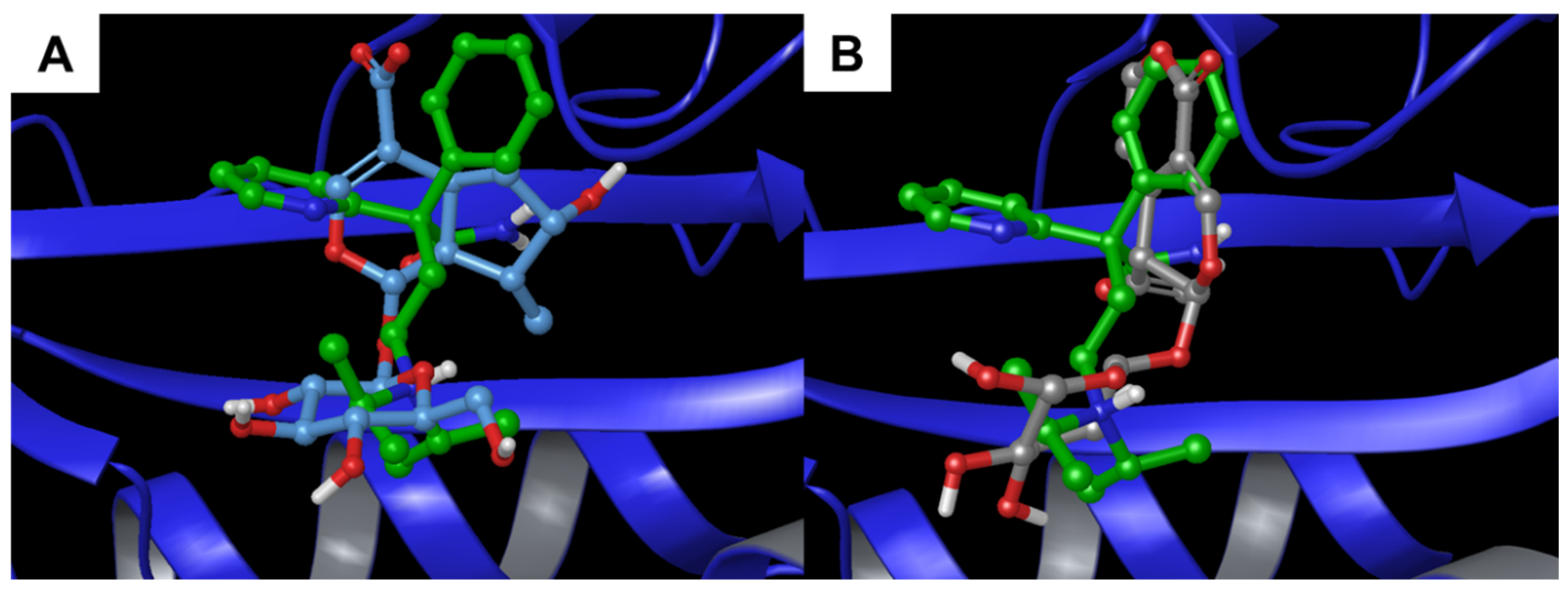 Biomolecules 11 01490 g008