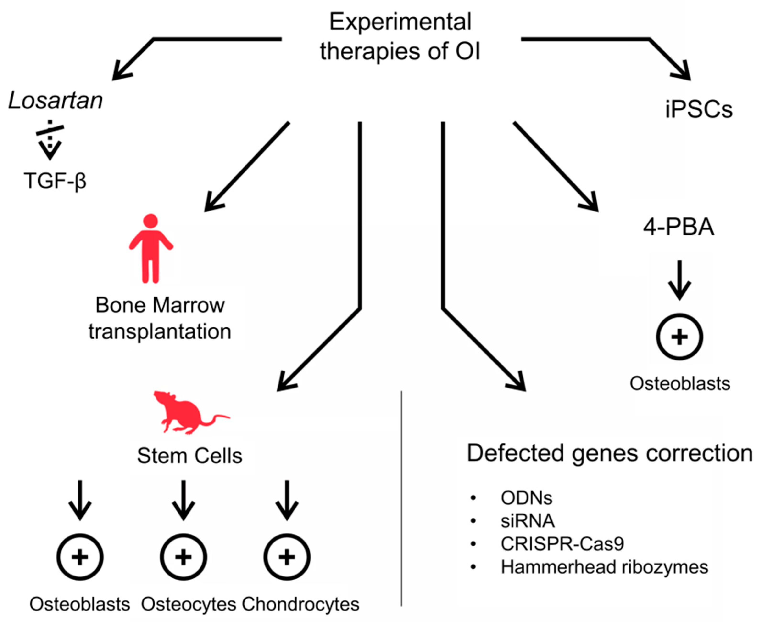 Biomolecules 11 01493 g003