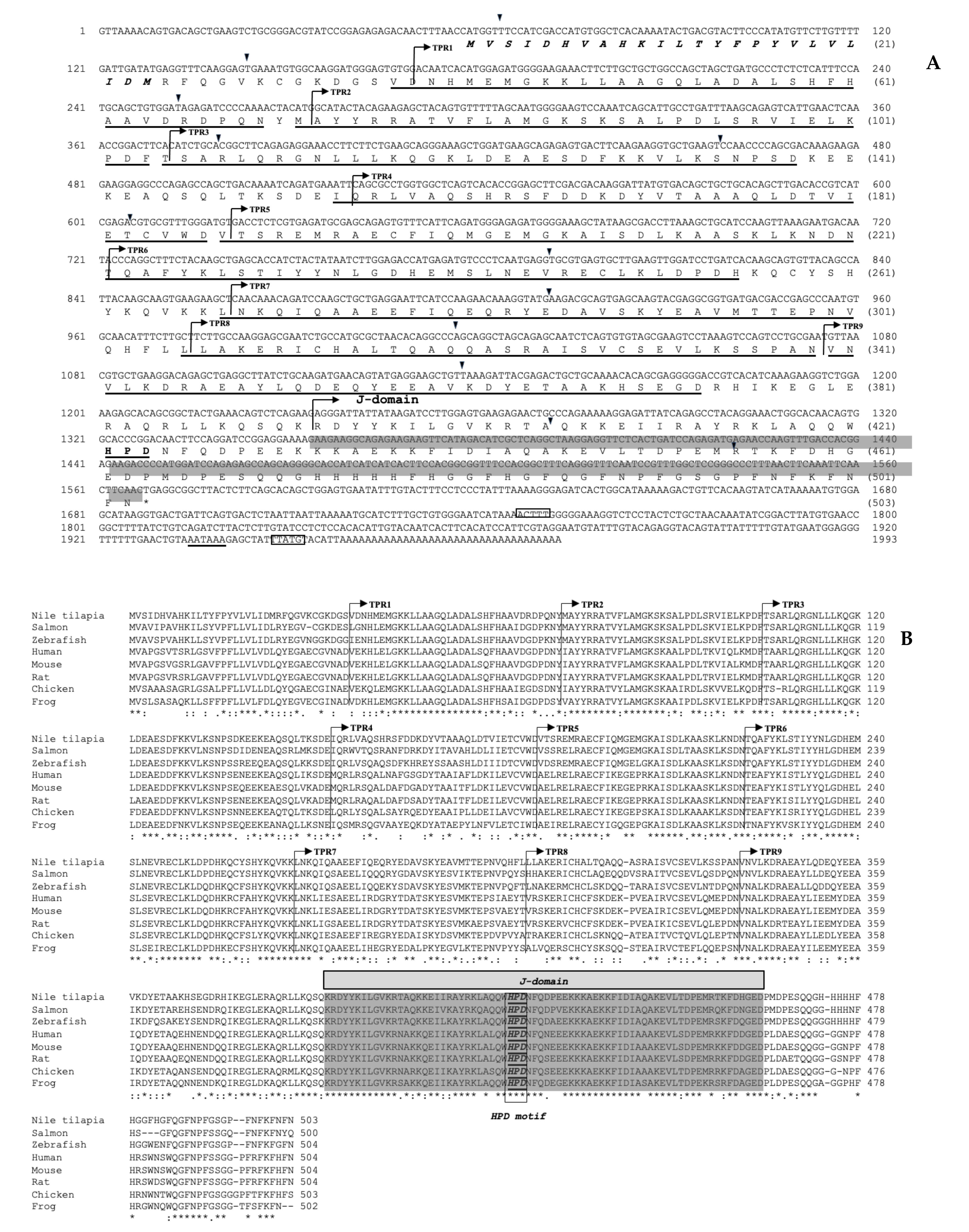 Biomolecules 11 01509 g002