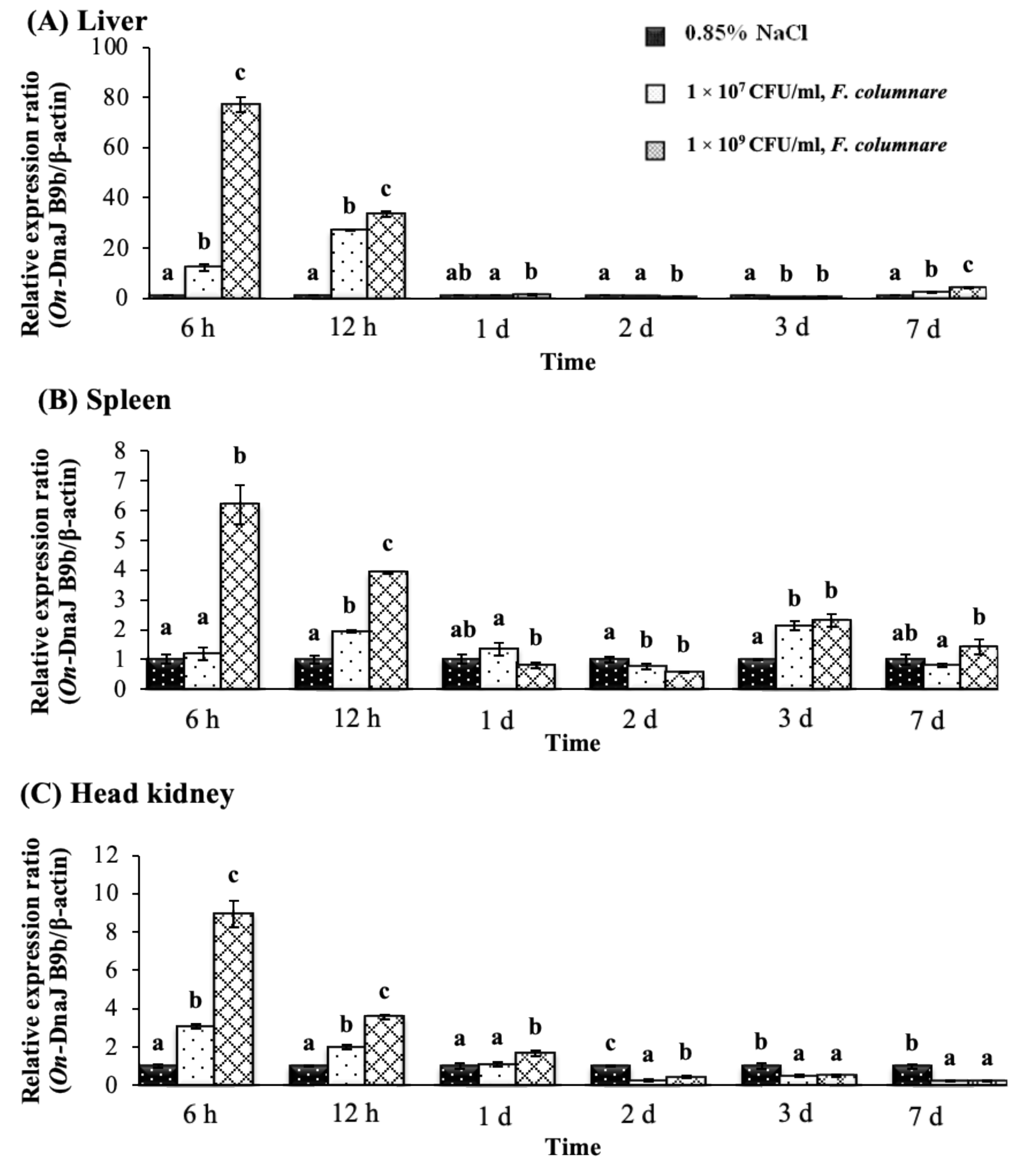 Biomolecules 11 01509 g007