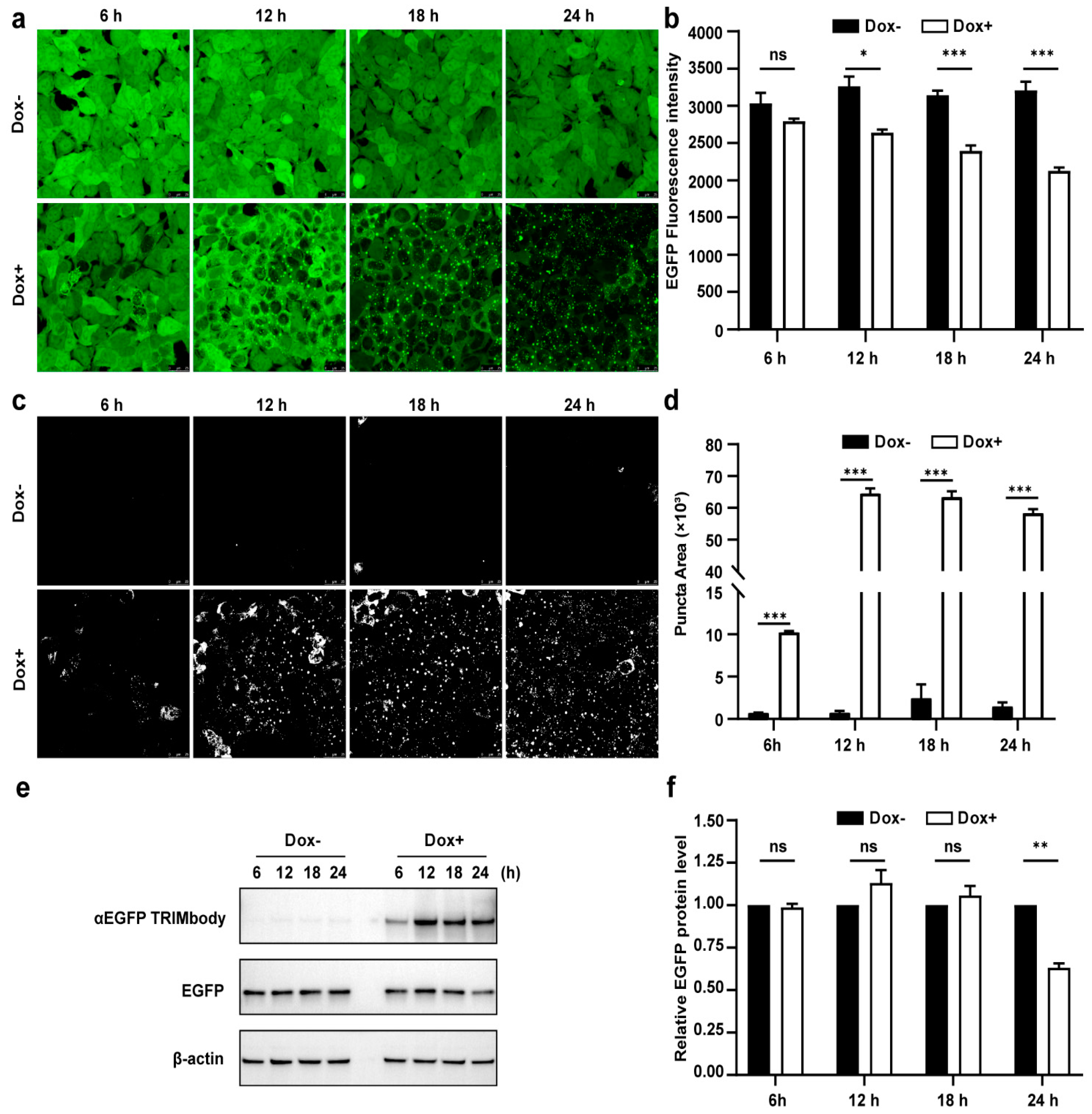Biomolecules 11 01512 g003
