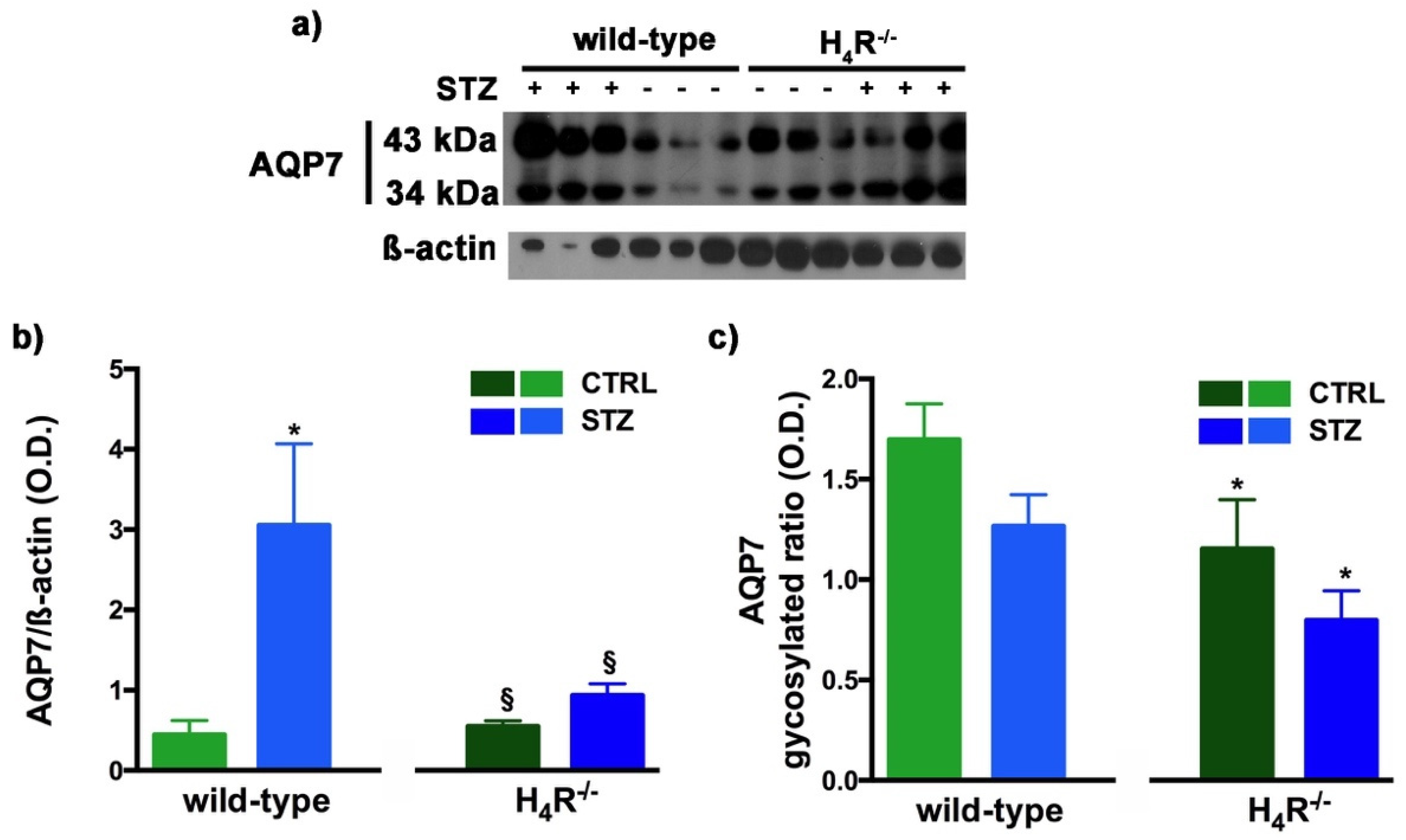 Biomolecules 11 01517 g009 Biomolecules 11 01517 g009