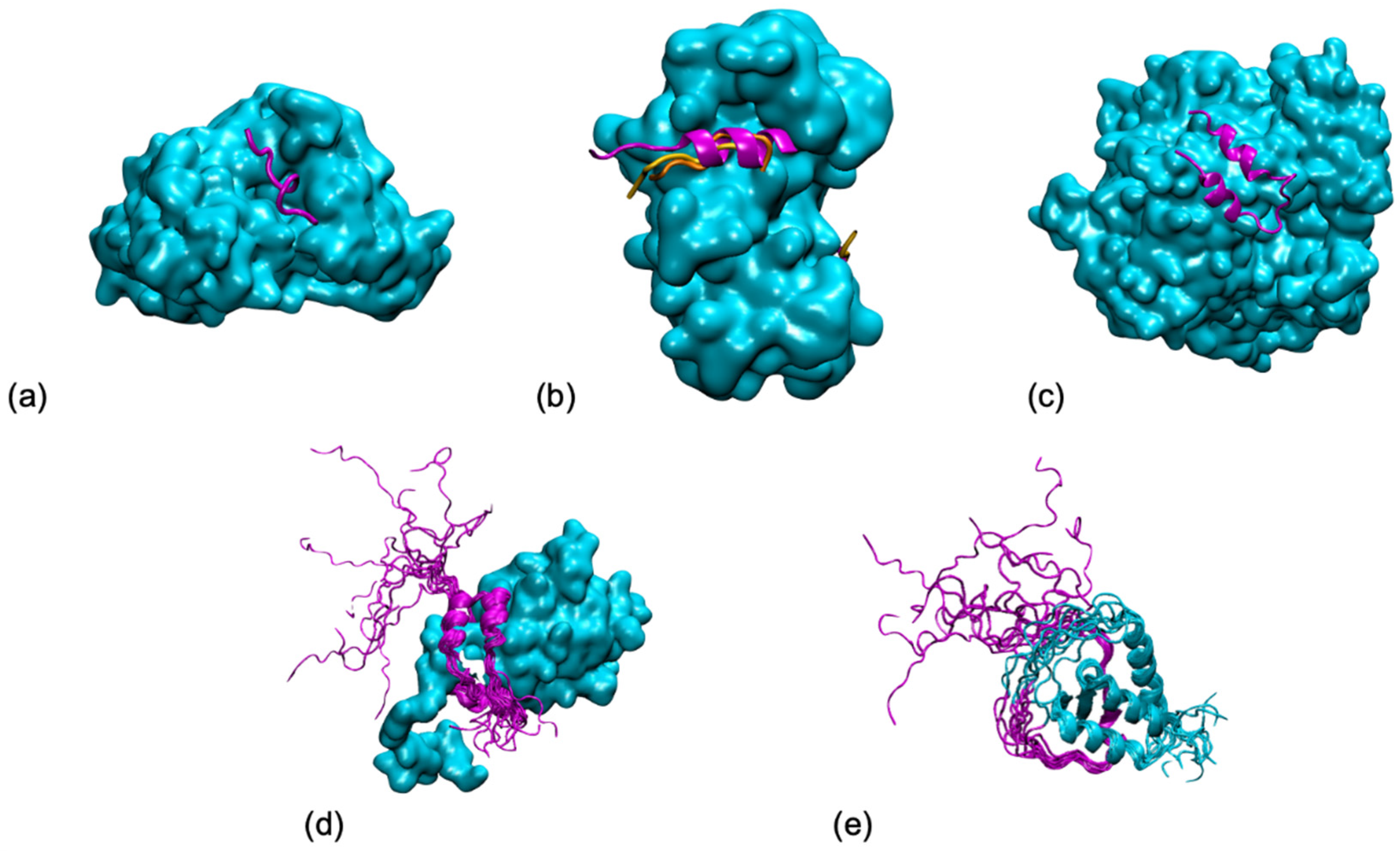 Biomolecules | Free Full-Text | When Order Meets Disorder: Modeling and  Function of the Protein Interface in Fuzzy Complexes