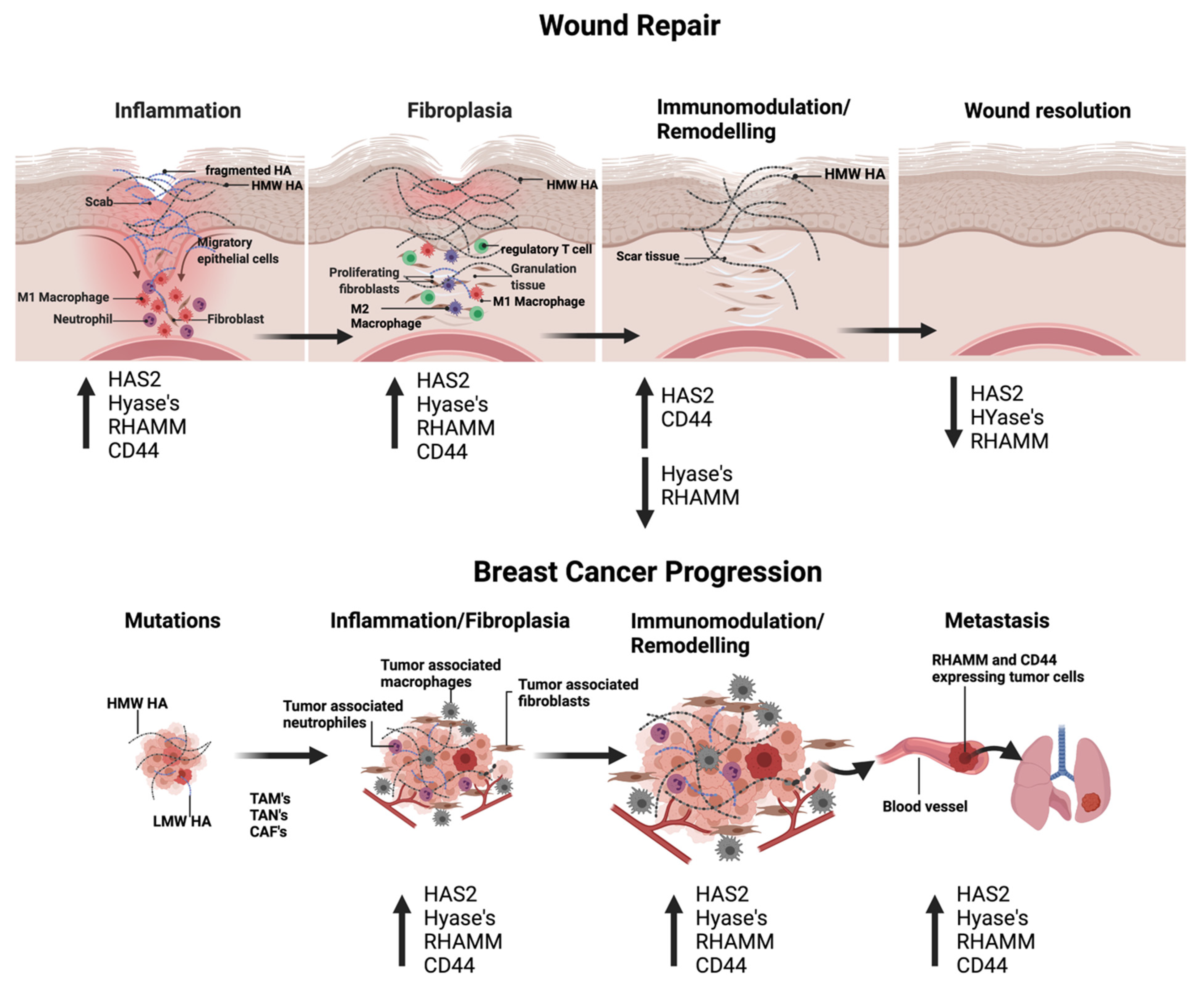 Biomolecules 11 01551 g003
