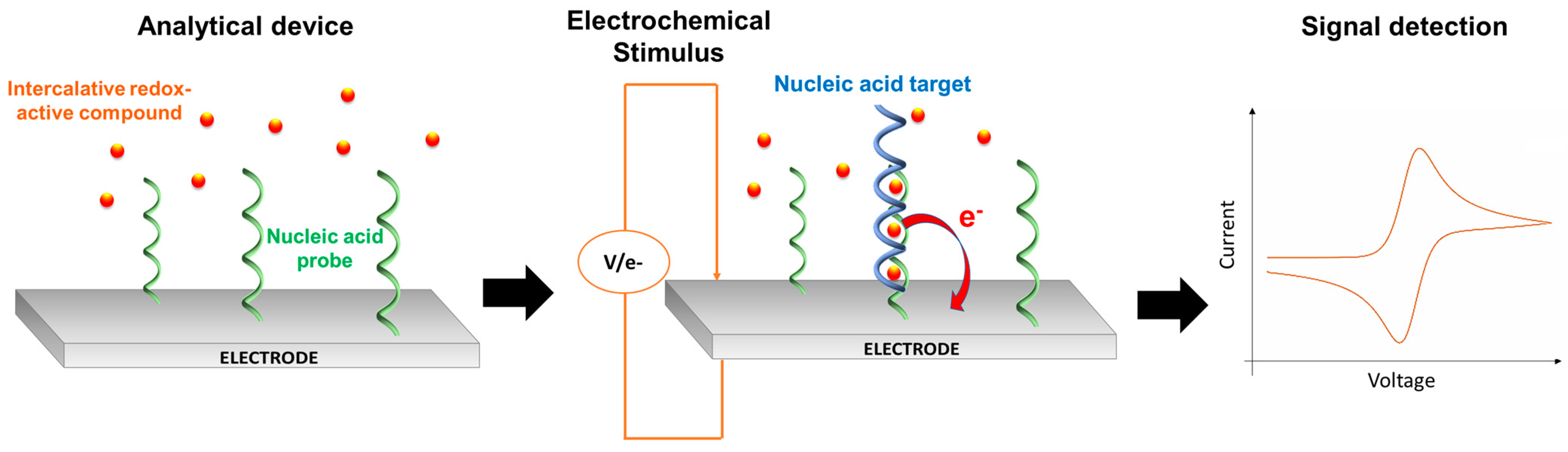Biomolecules 11 01585 g003