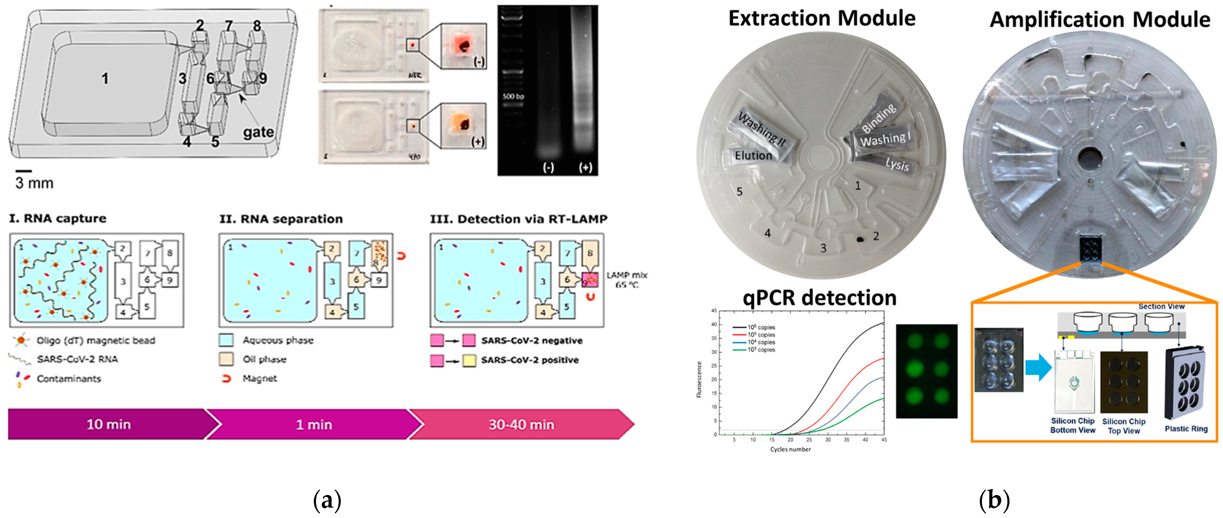 Biomolecules 11 01585 g005a