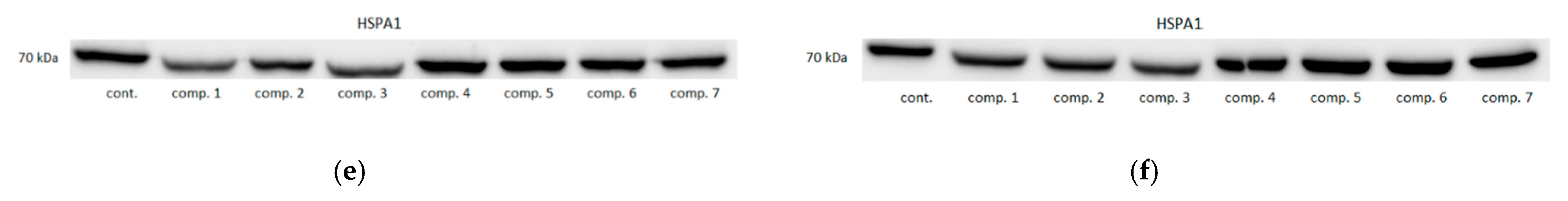 Biomolecules 11 01588 g006b